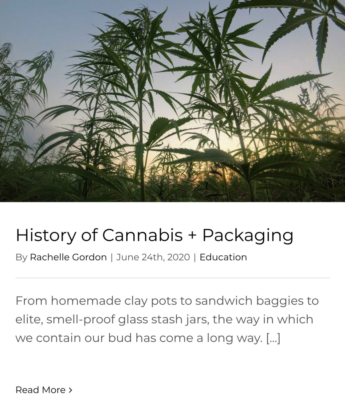 History of Cannabis + Packaging by Rachelle Gordon