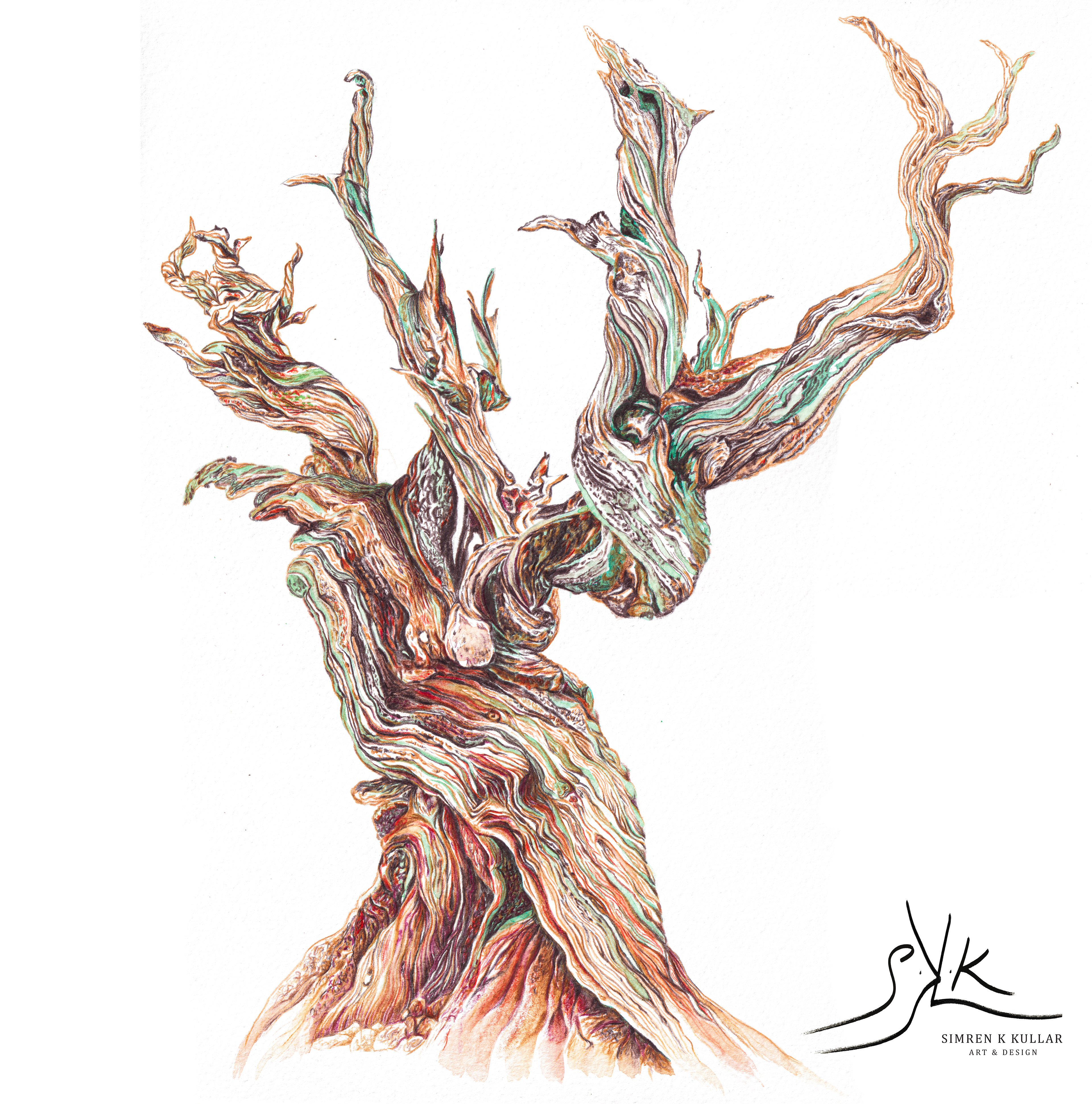 Watercolour Pencil on Paper