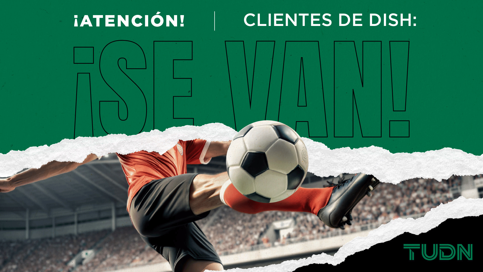 Go Dark Campaign - Graphics Proposal