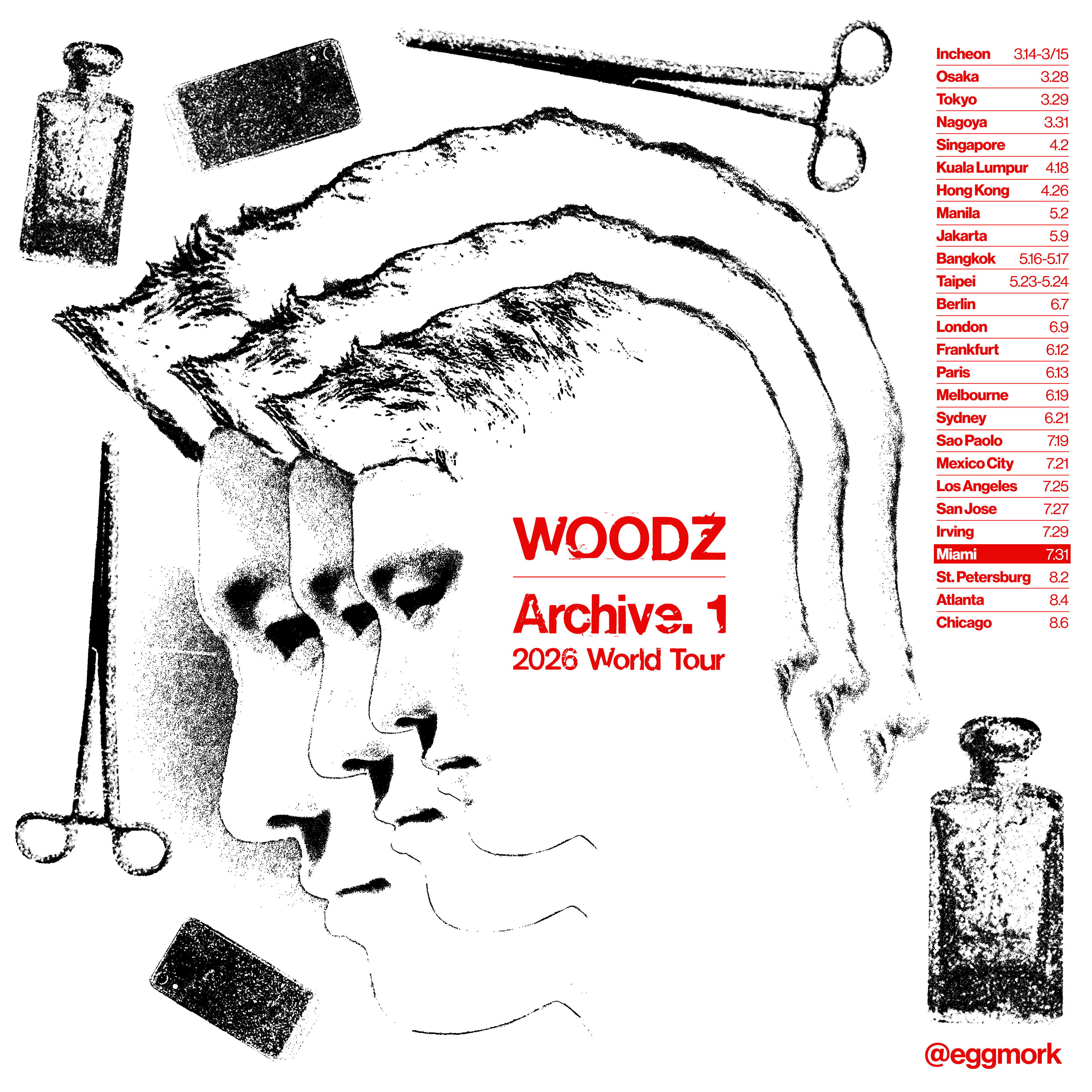 WOODZ IN MIAMI - Freebie Design