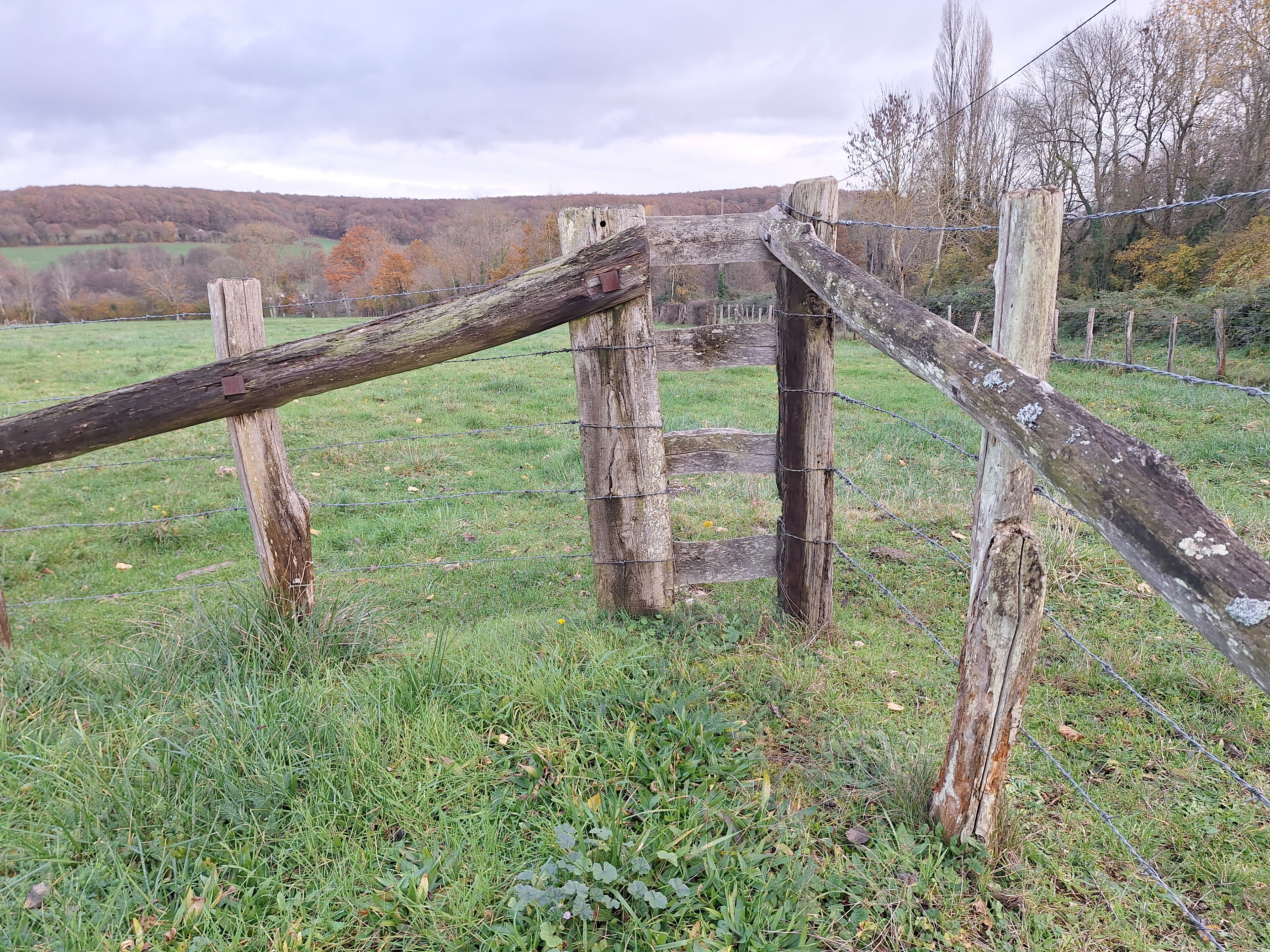 Foncer malgré tout