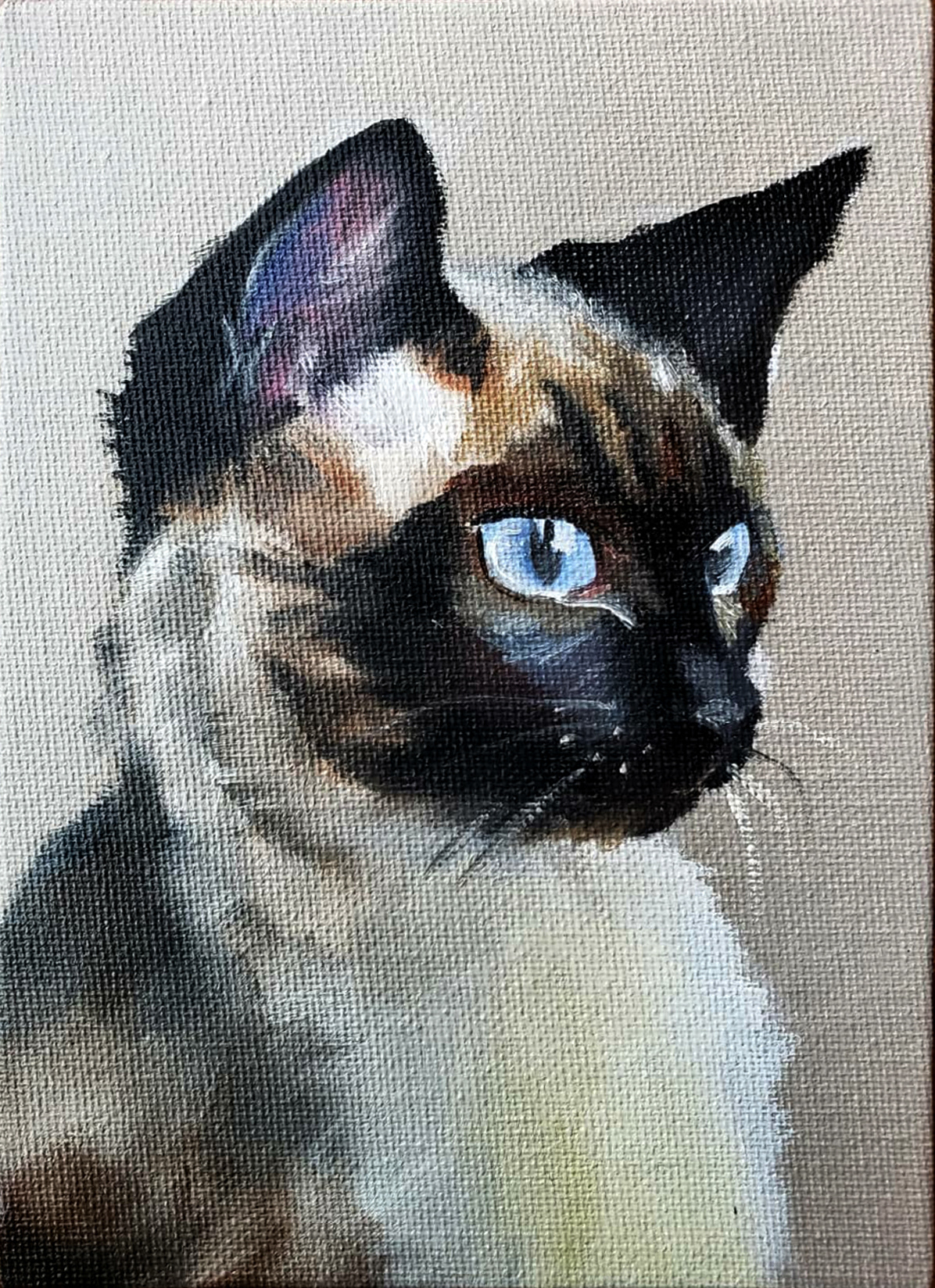 "cat Study 2", Oil on canvas, 2019