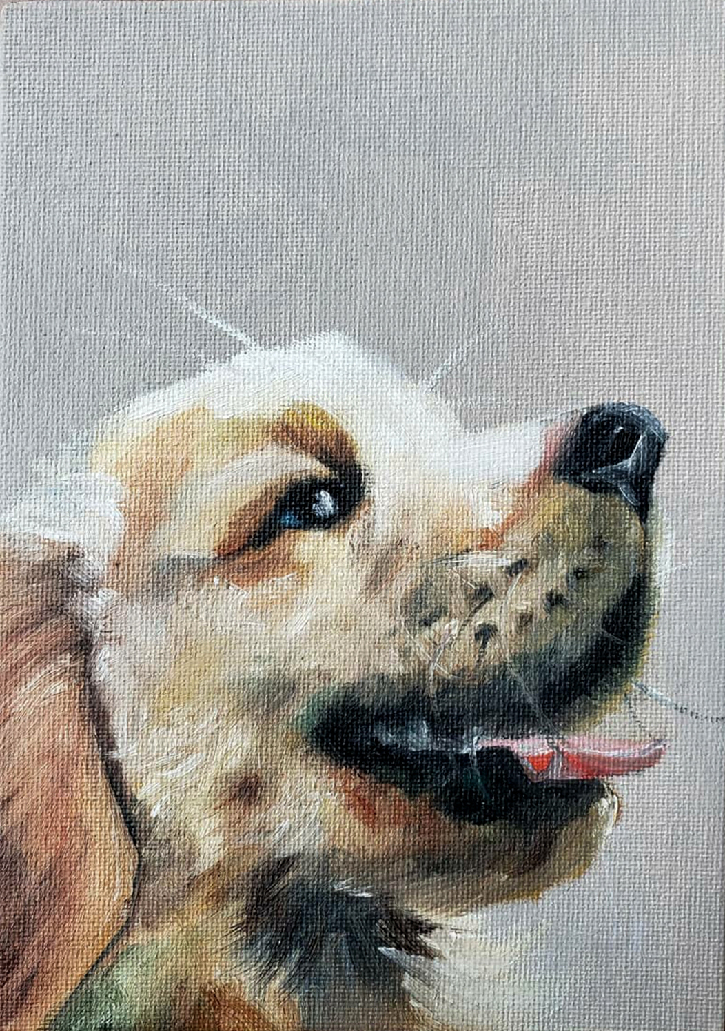 "Dog Study 3", Oil on canvas, 2019