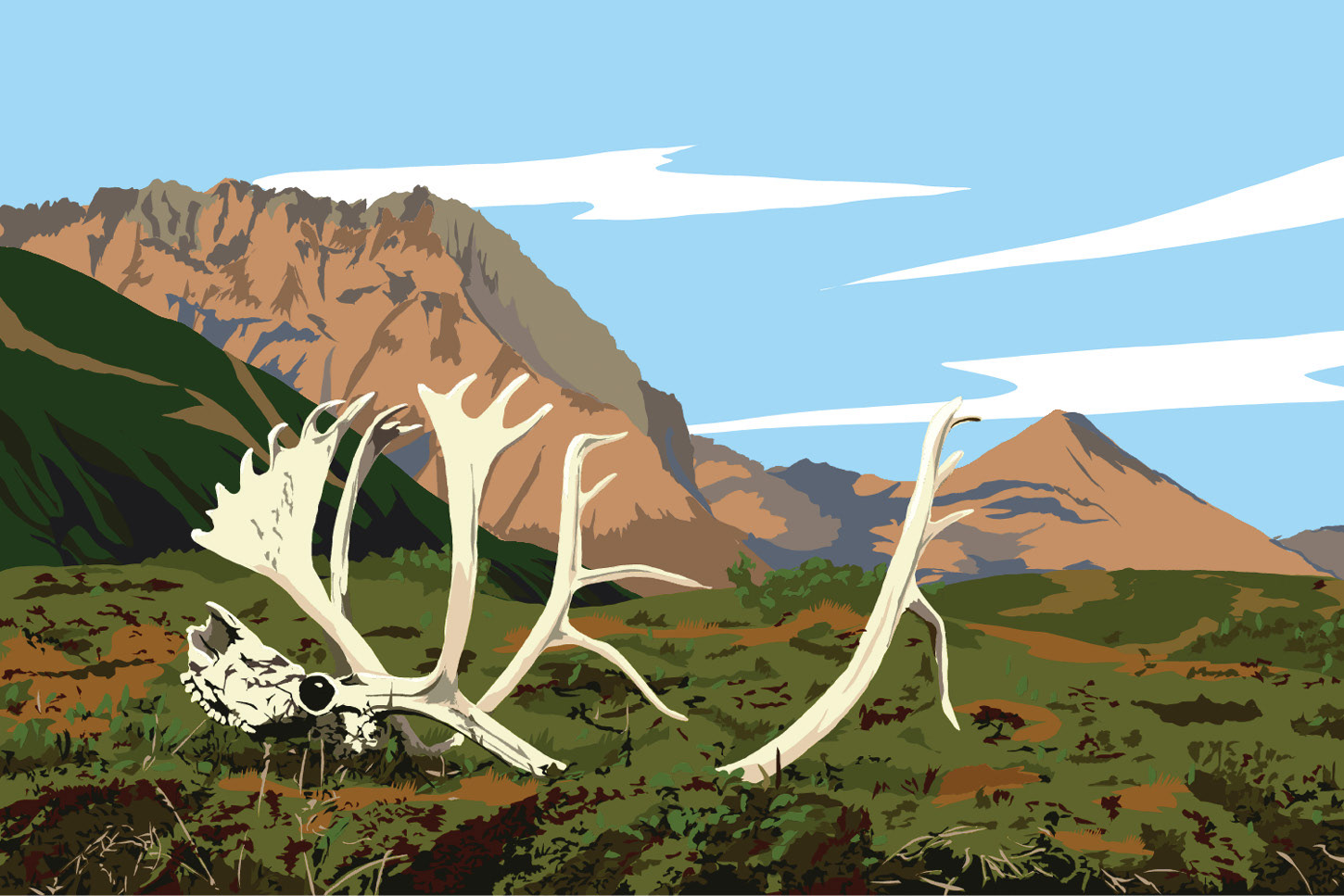Skull in Plains