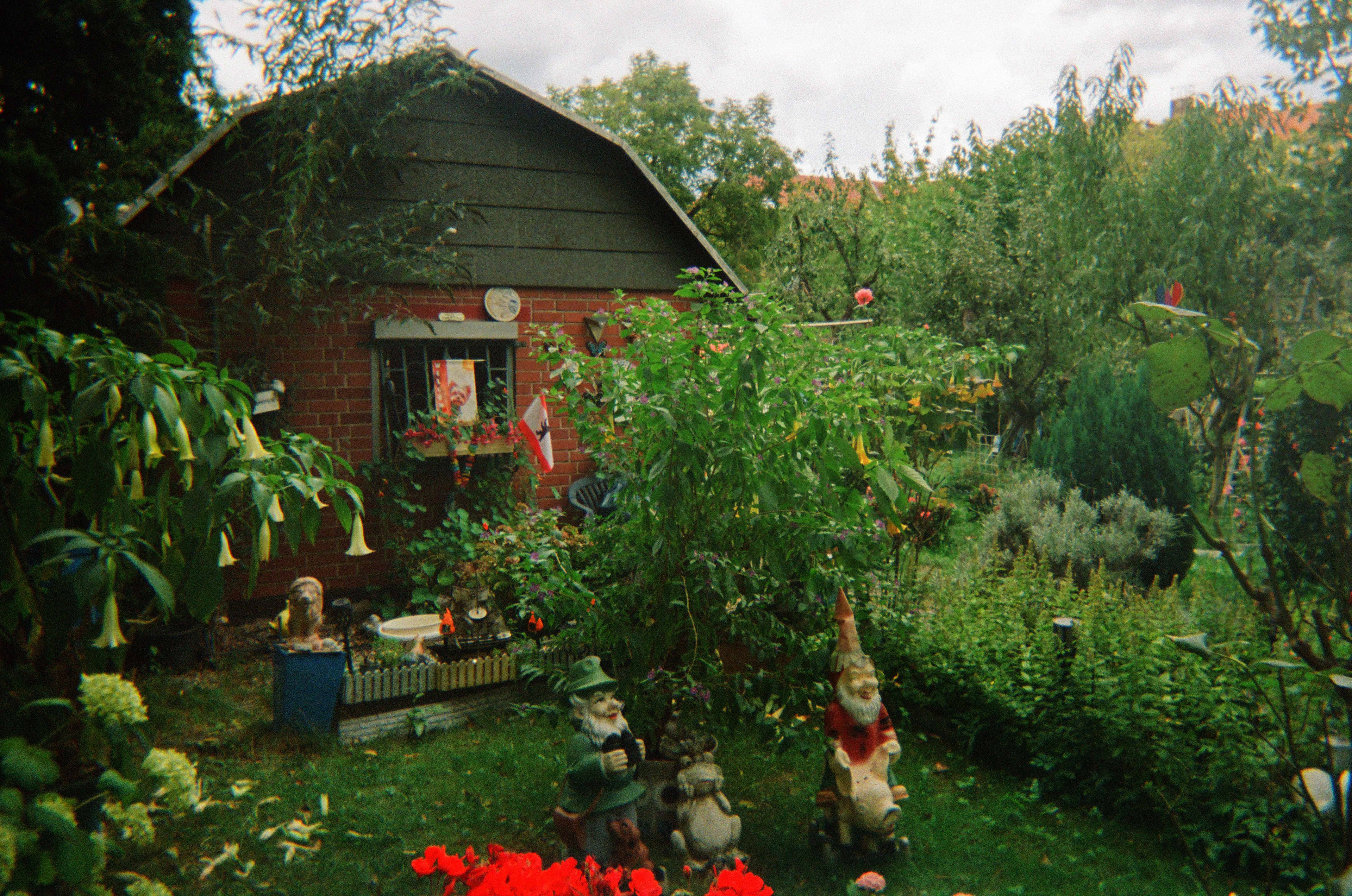 Kleingartenverein Lankwitz, 1970