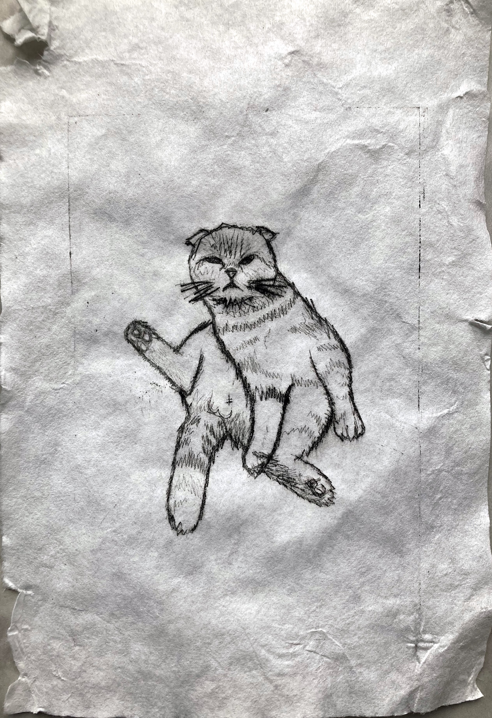 Drypoint plastic etching on rice paper