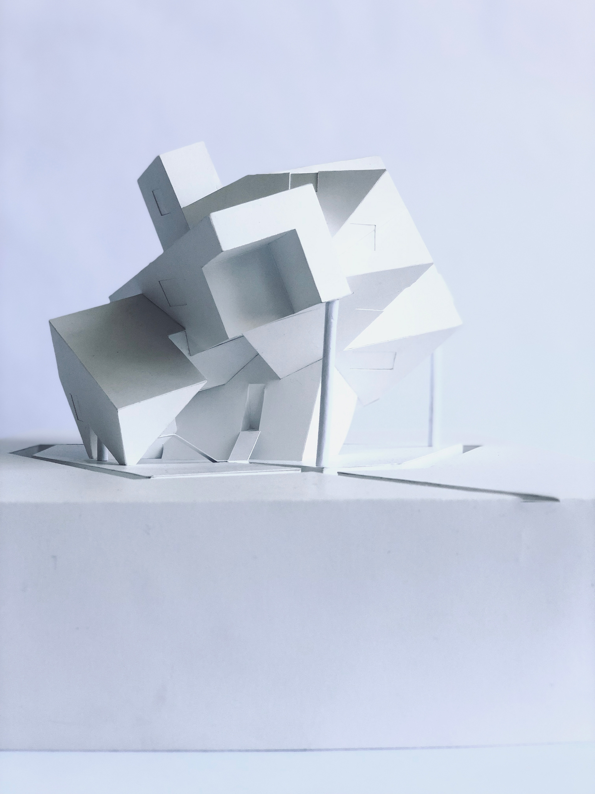 Site model back