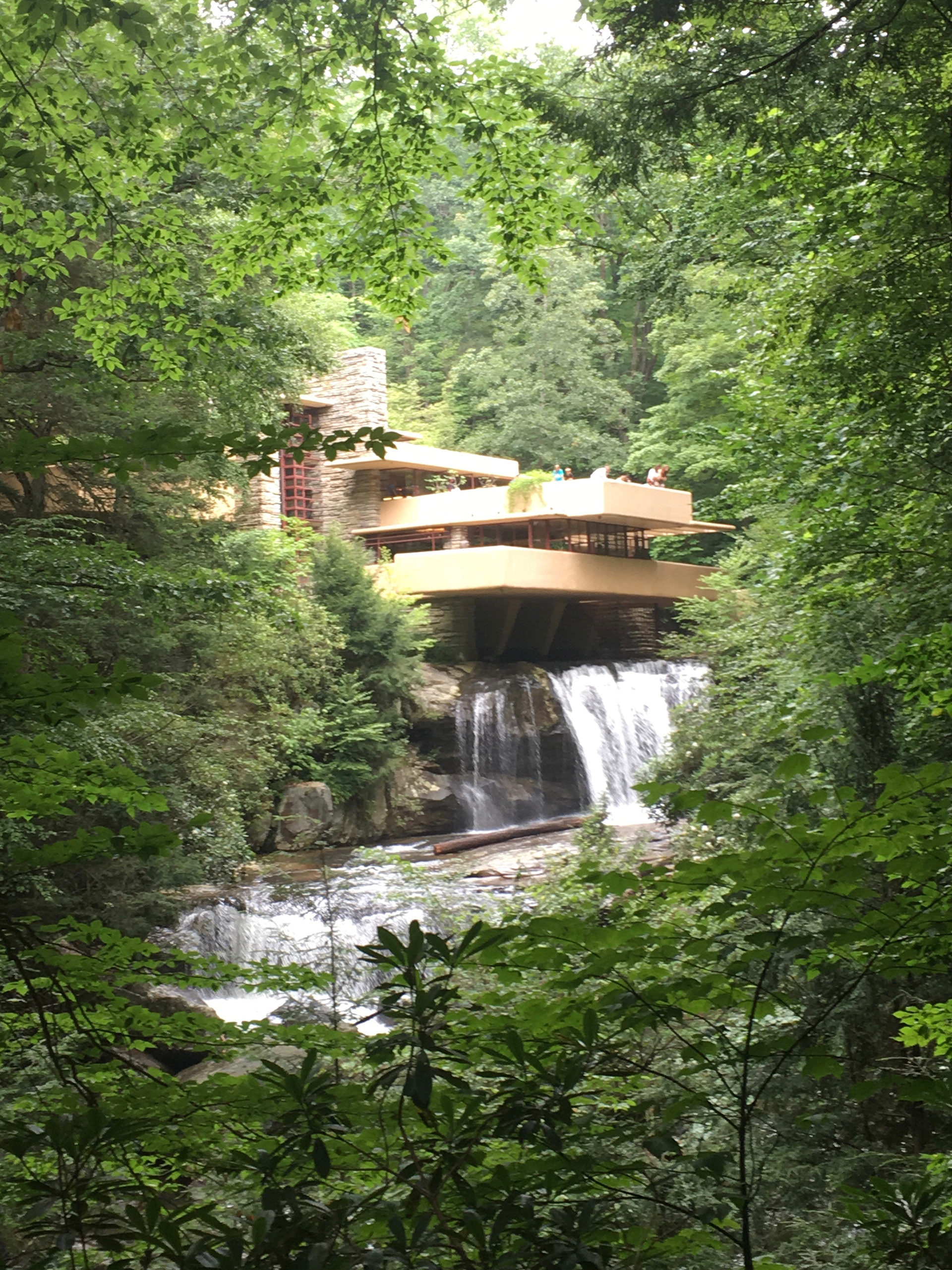 View from pavilion