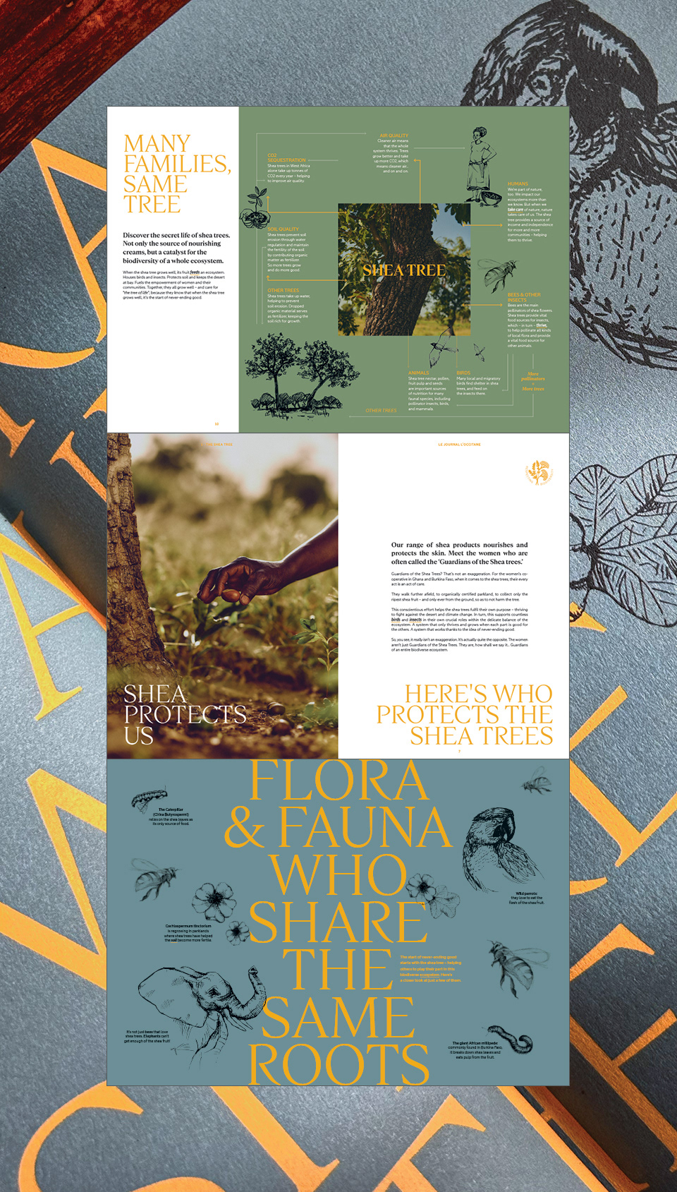 Shea Butter Magazine L'Occitane en Provence