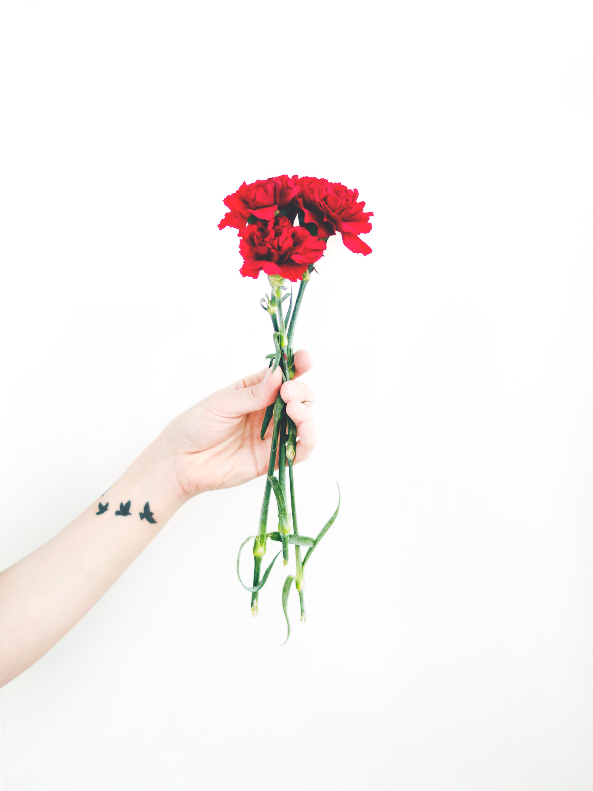 https://www.pexels.com/search/?q=photo%20of%20person%20holding%20bouquet%20of%20red%20carnations&missing_medium