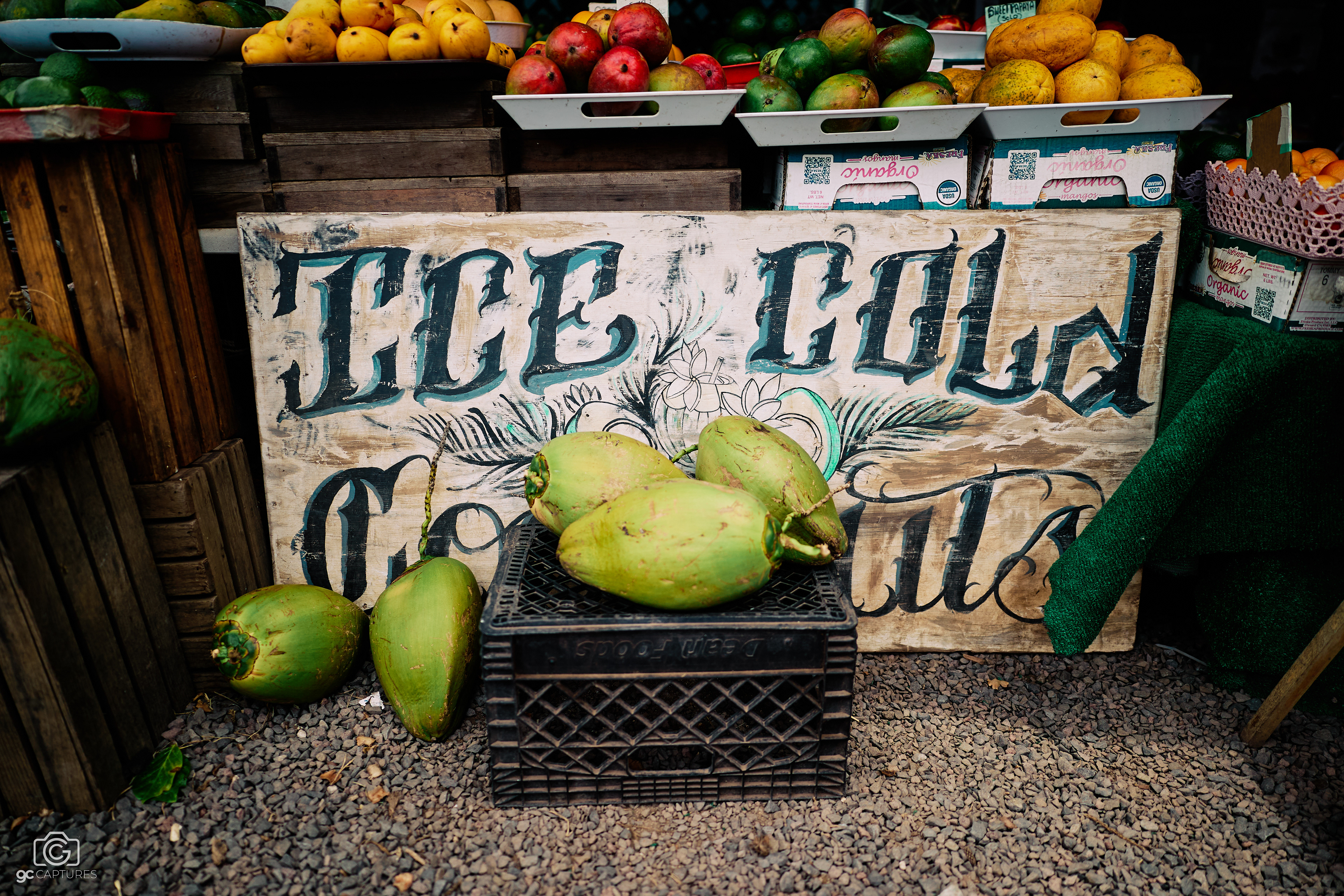 Canon RF 24mm F1.4 L VCM