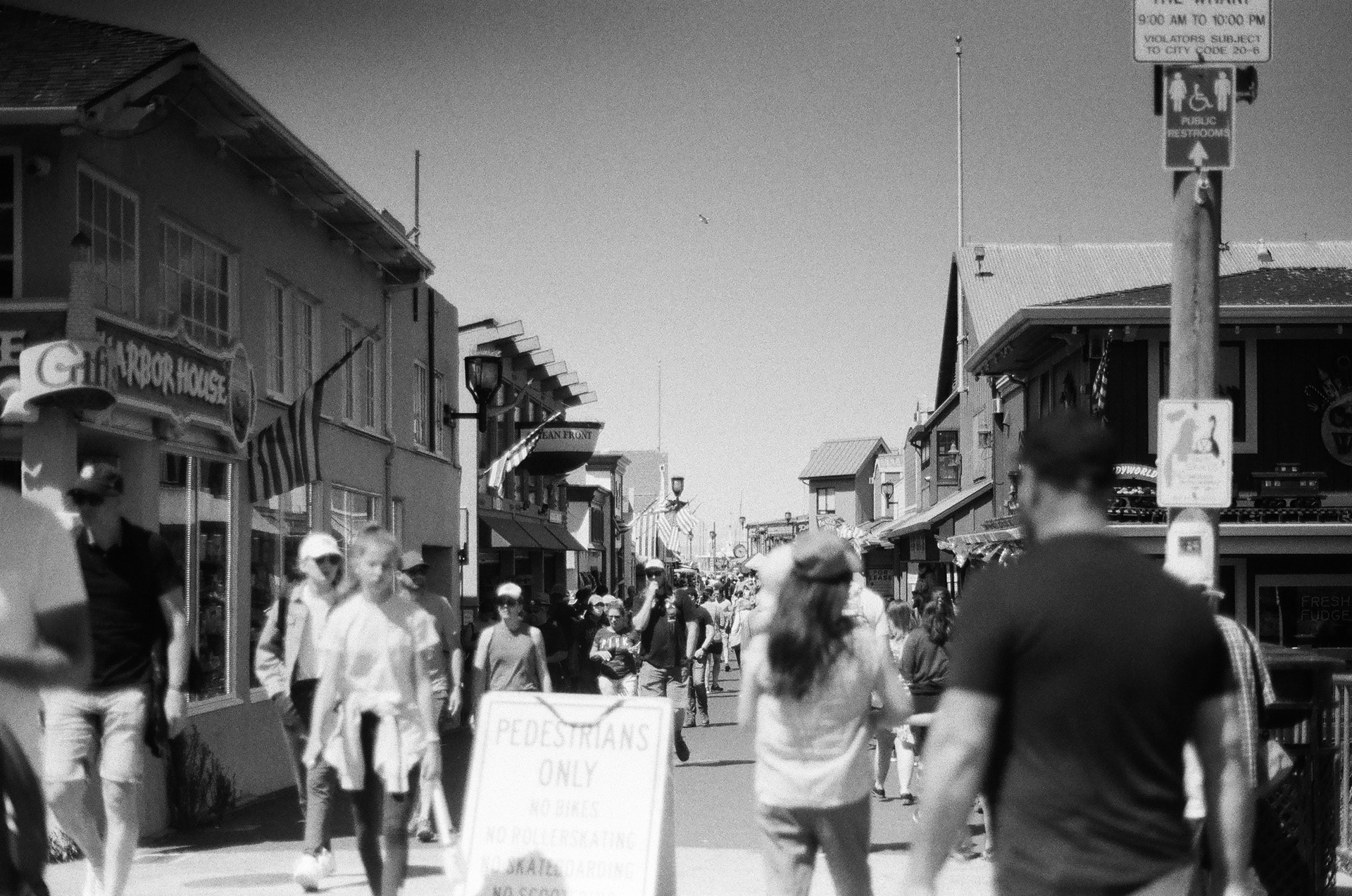 Camera: Minolta Maxxum 9000 Lens: Minolta 50mm 1.7 AF Film: Ilford HP5 Plus 400