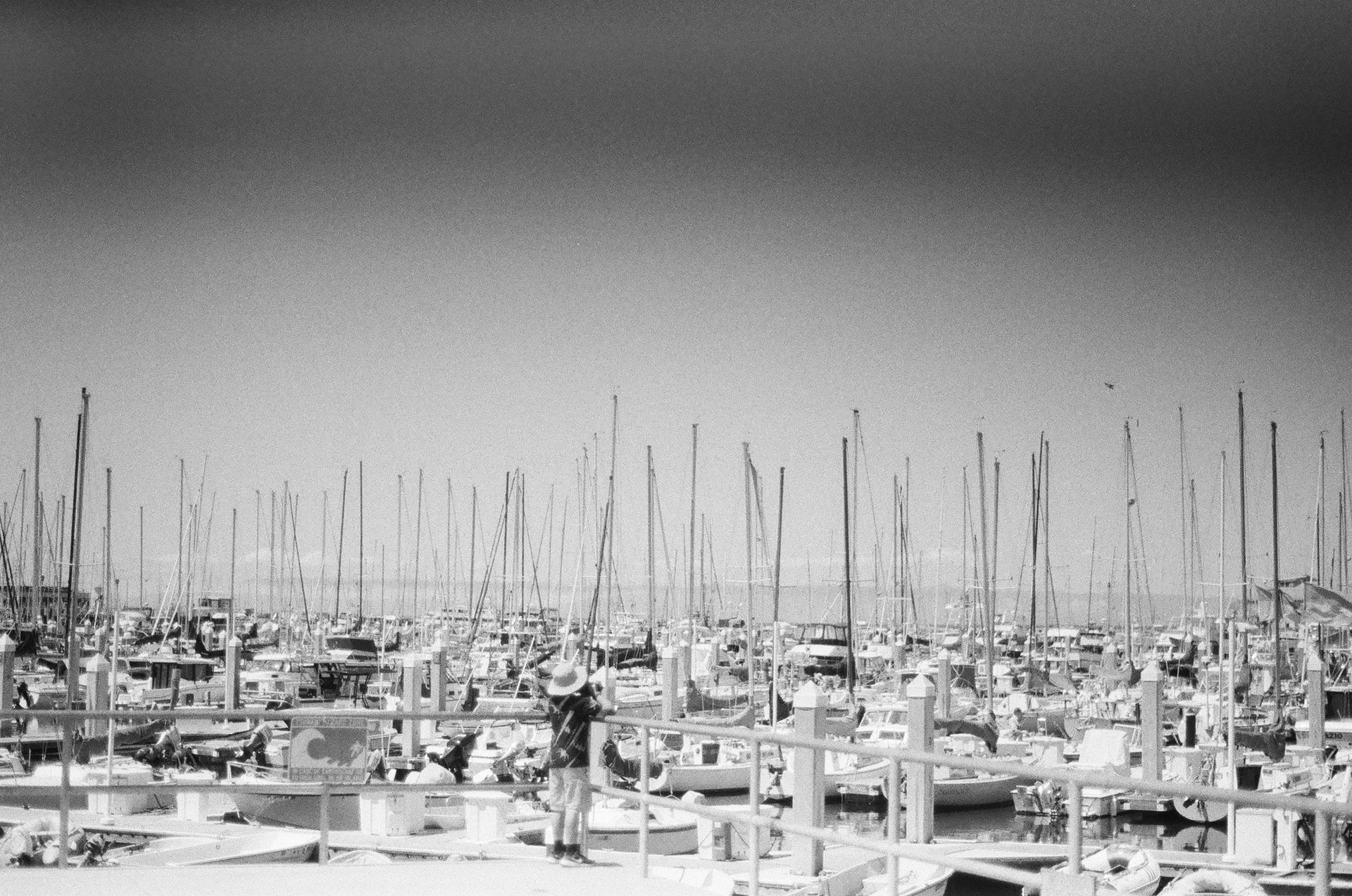 Camera: Minolta Maxxum 9000 Lens: Minolta 50mm 1.7 AF Film: Ilford HP5 Plus 400