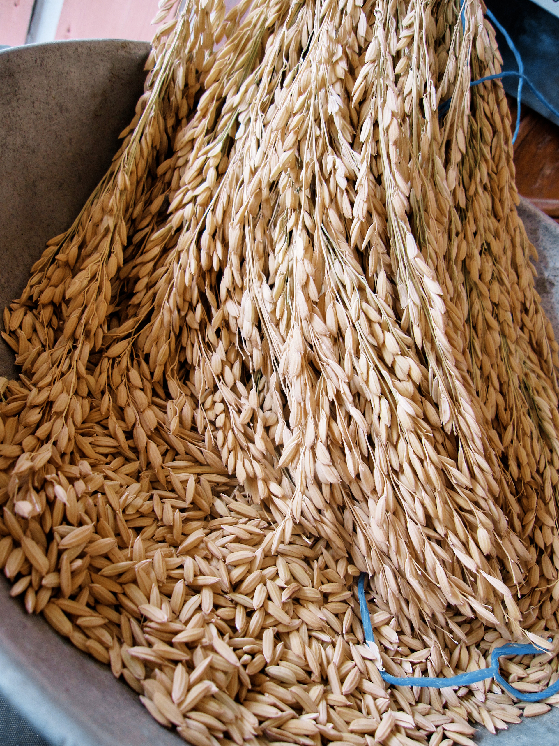 Canon PowerShot SD960 IS