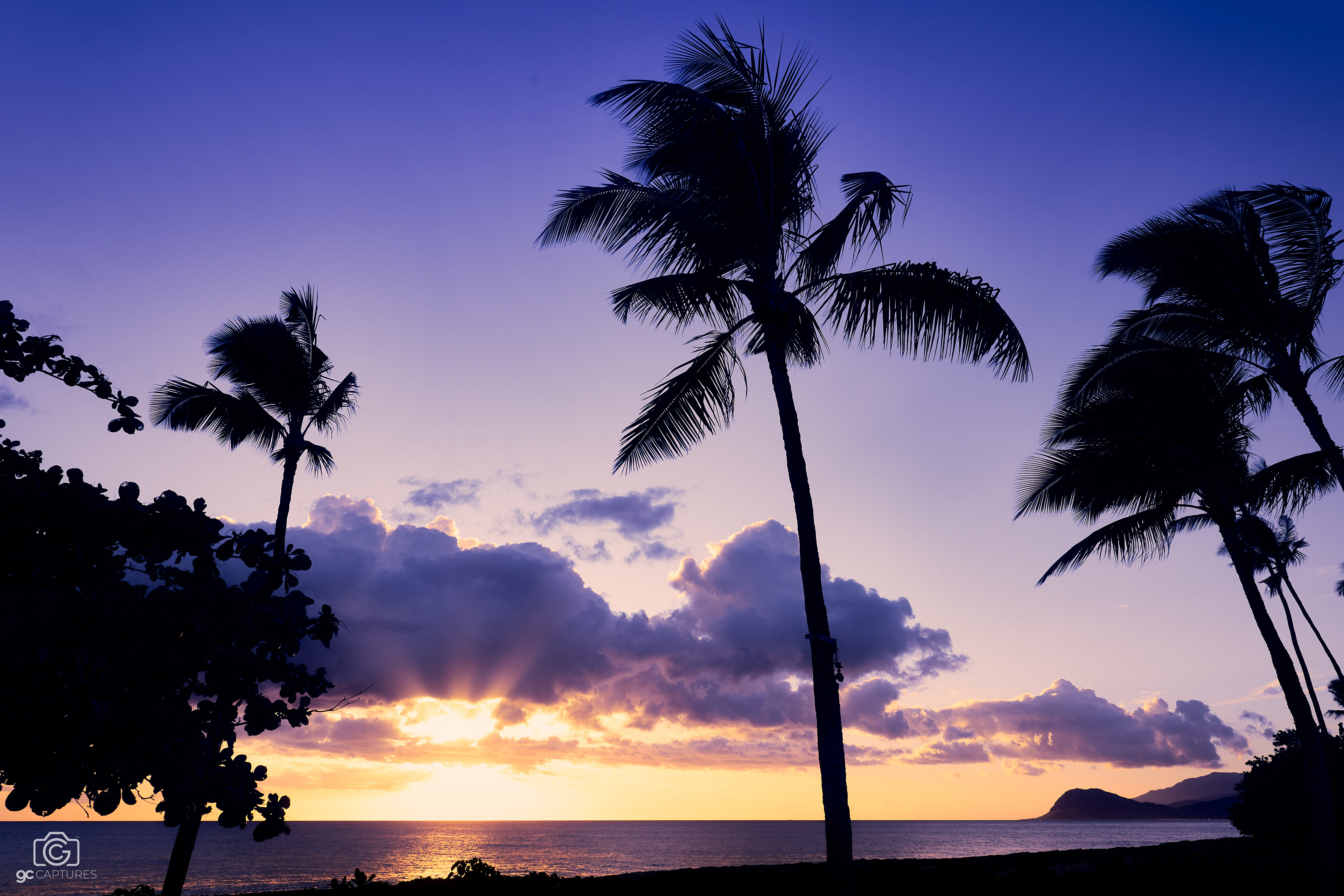 Canon RF 24mm F1.4 L VCM