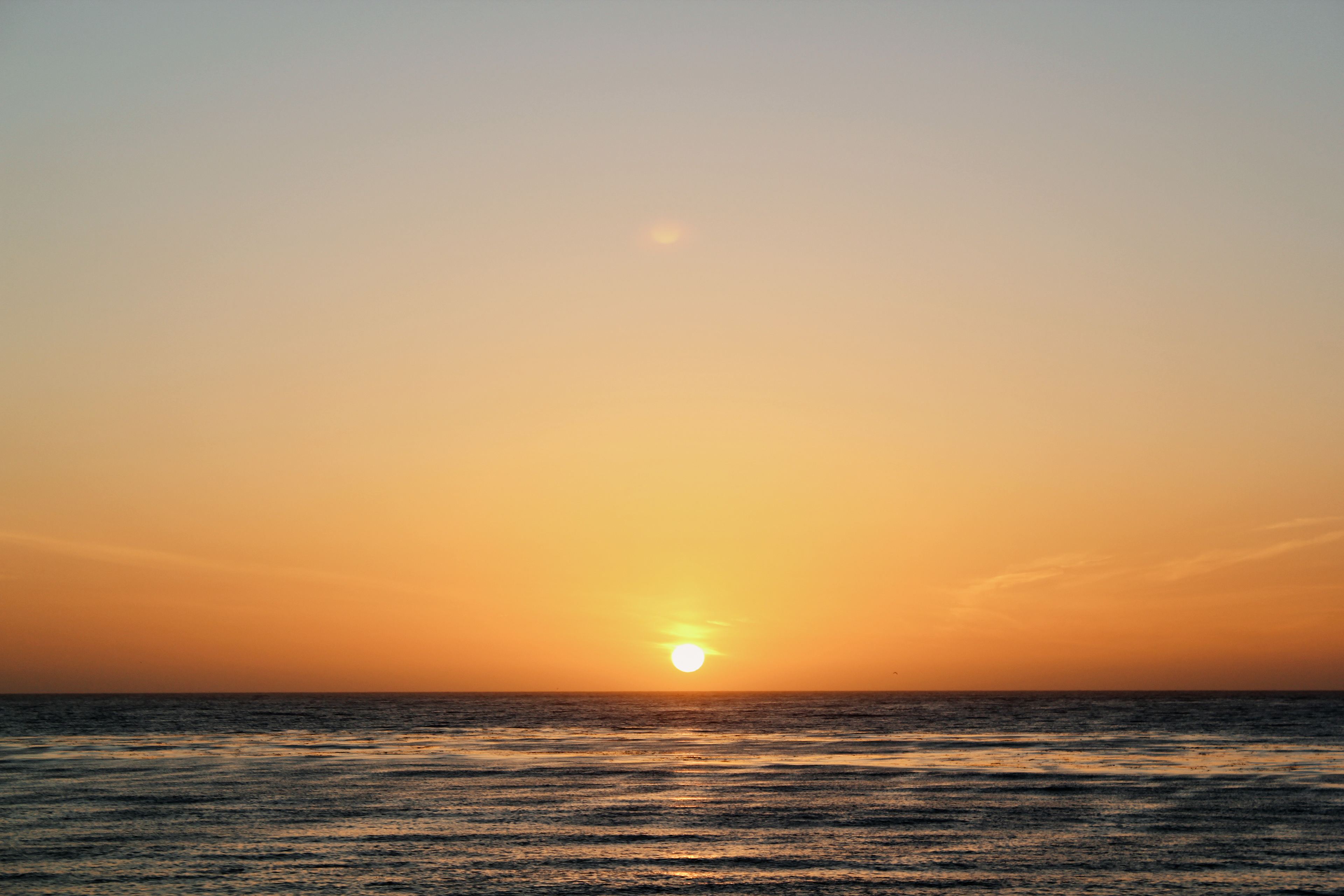 Canon EOS REBEL T2i | 55mm | f/5.6 | ISO100