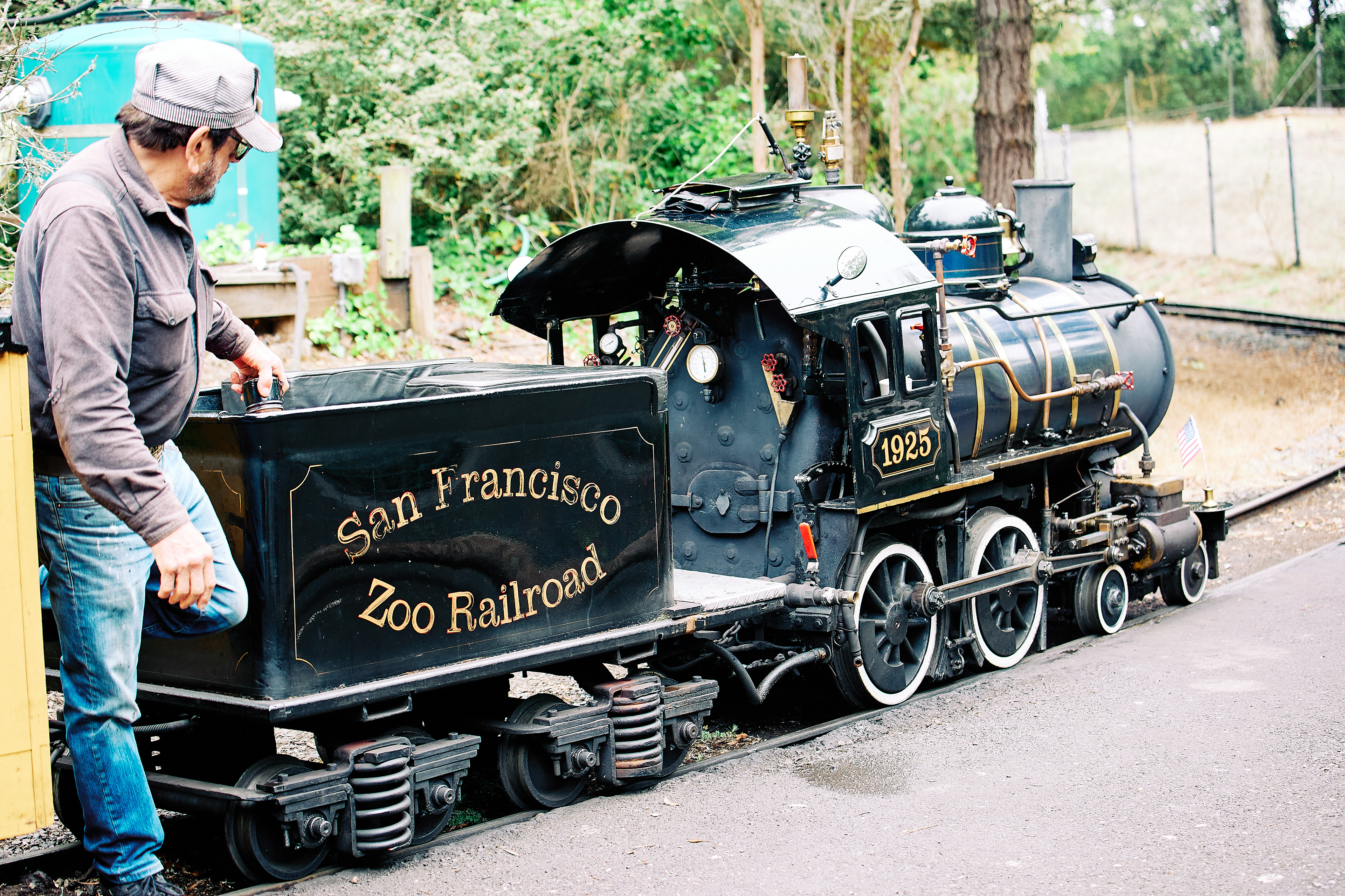 Little Puffer steam train