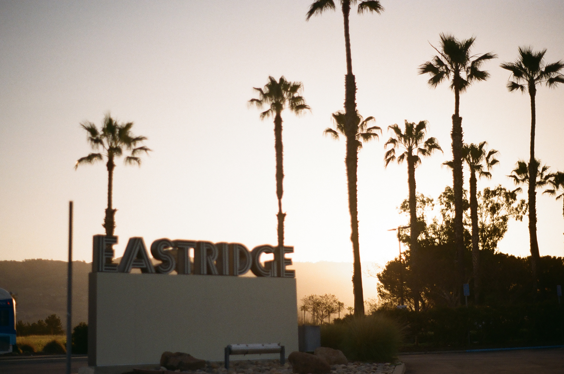 San Jose • March 2022 • Minolta Maxxum 9000 • Minolta 50mm 1.7 AF