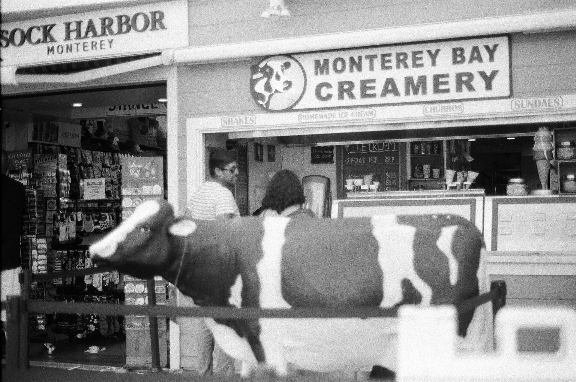 Camera: Minolta Maxxum 9000 Lens: Minolta 50mm 1.7 AF Film: Ilford HP5 Plus 400