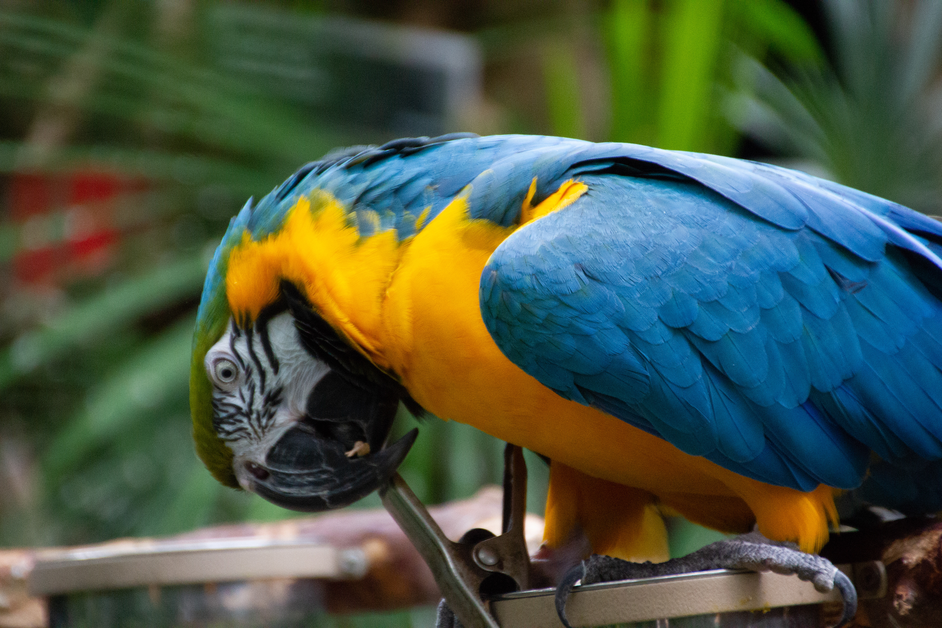 Canon EOS REBEL T2i | Tamron AF 18-270mm f/3.5-6.3 Di II VC PZD