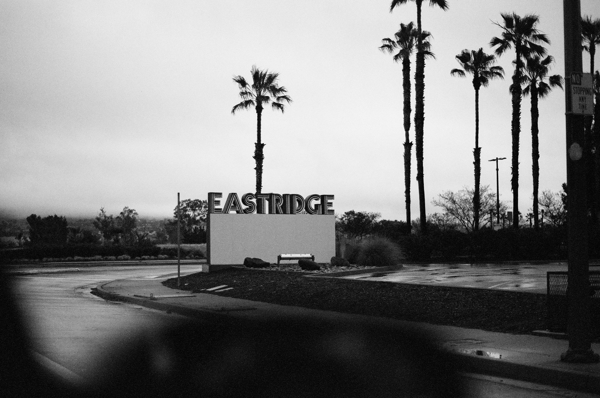 San Jose • March 2022 • Minolta Maxxum 9000 • Minolta 50mm 1.7 AF • Kodak Select Series 400 B&W Plus