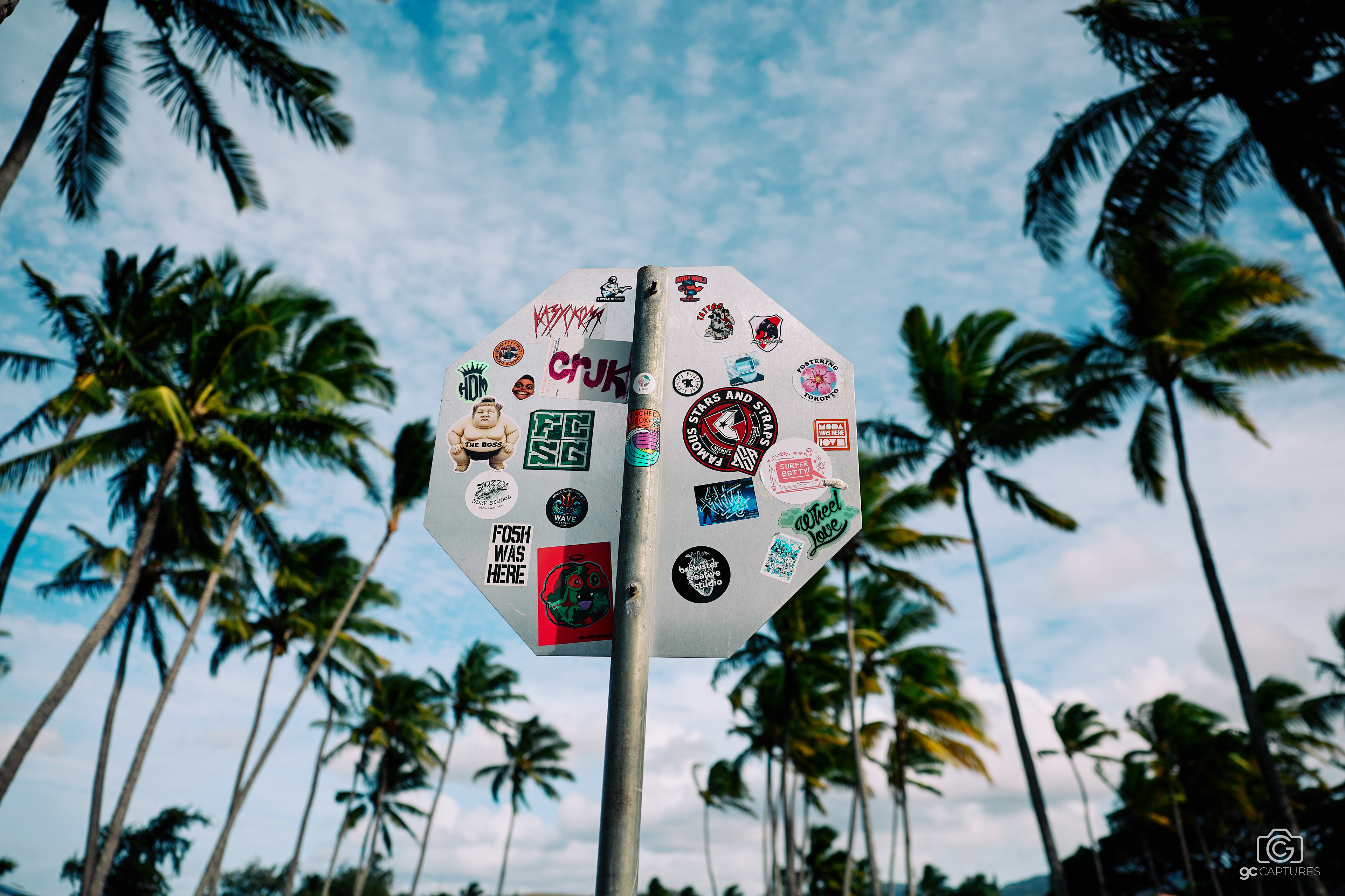 Canon RF 24mm F1.4 L VCM