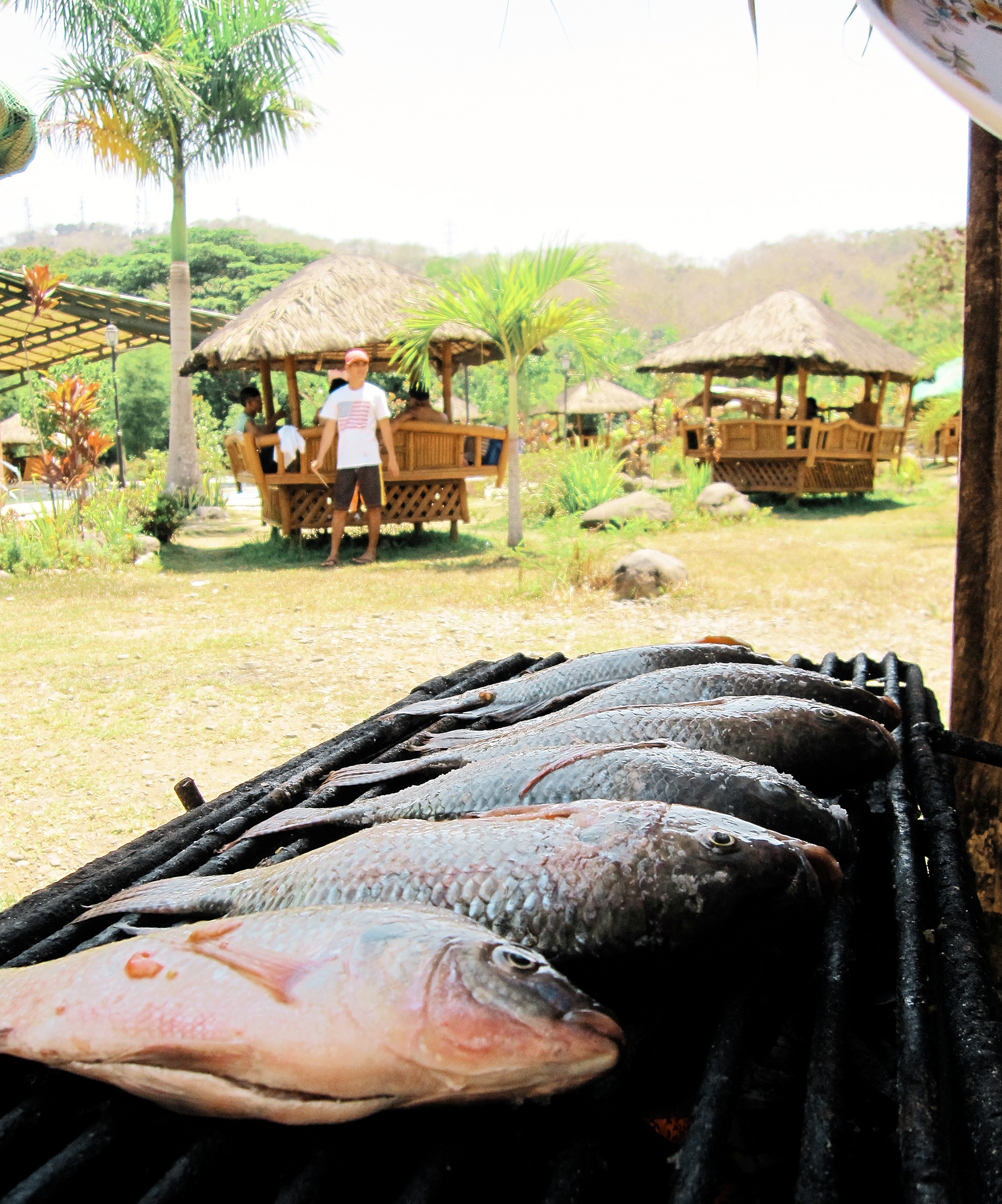 Canon PowerShot SD960 IS