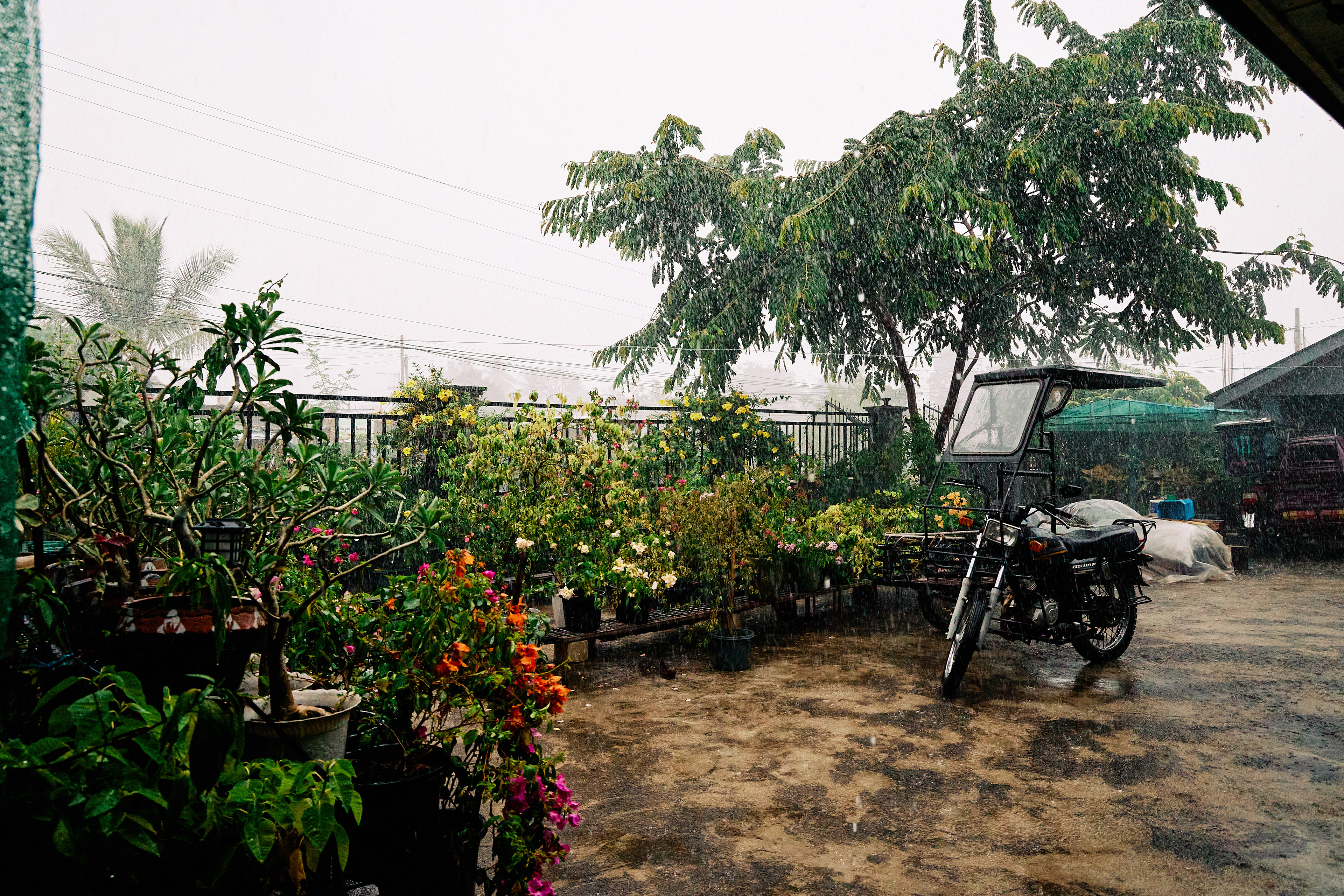 Maddela, Quirino. Canon EOS R6 | Canon RF 24-105mm F4L IS USM