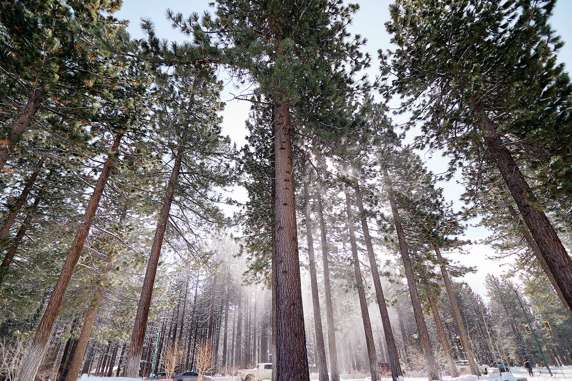 Lakeview Commons/El Dorado Beach, South Lake Tahoe.  Tokina 11-16mm f/2.8 AT-X Pro DX II (Canon EF)