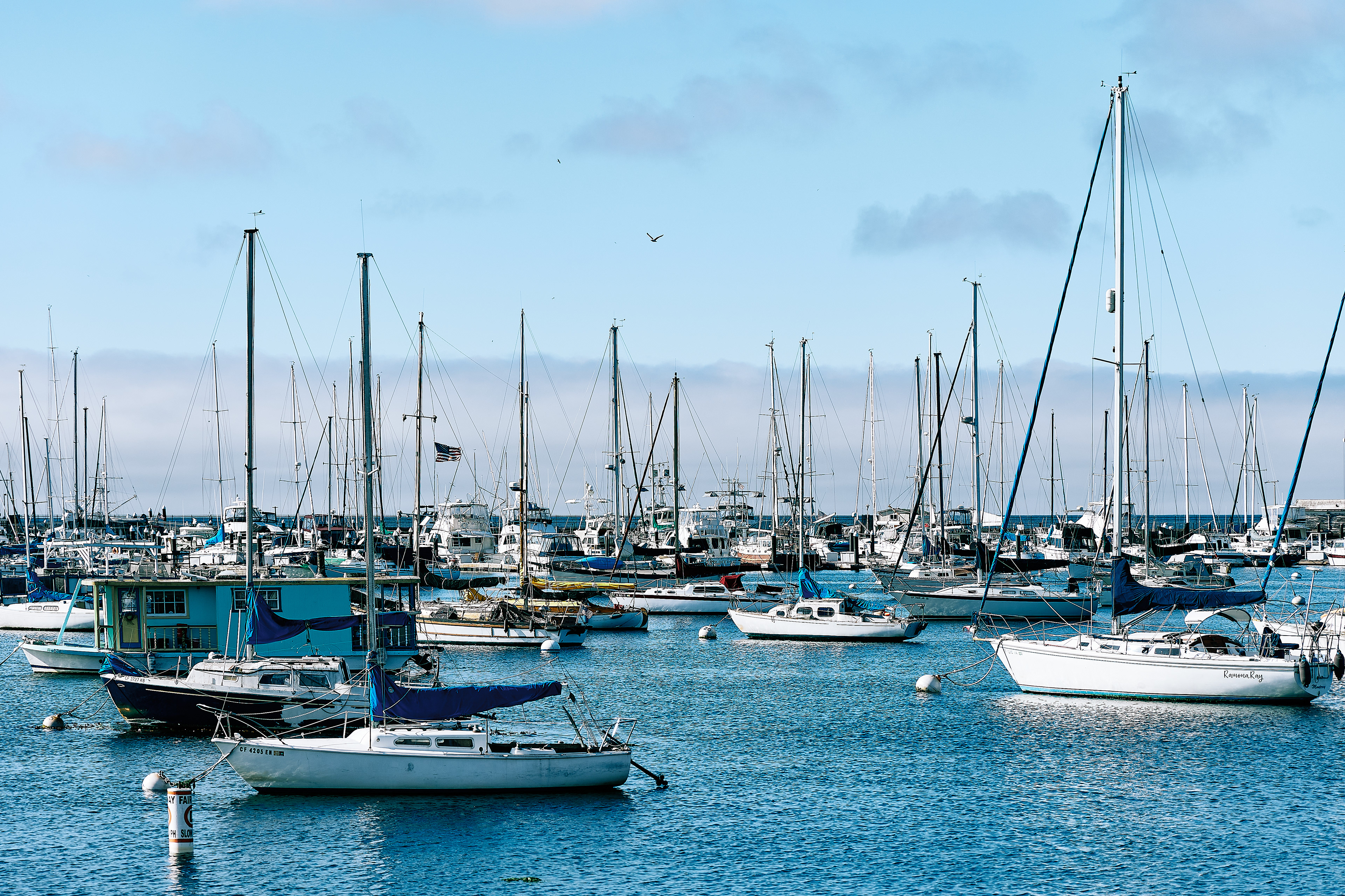 Boats at the viewing deck side of Abalonetti Bar & Grill, Monterey, California - July 2022. Canon EOS R6 | Canon RF 24-105mm F4L IS USM