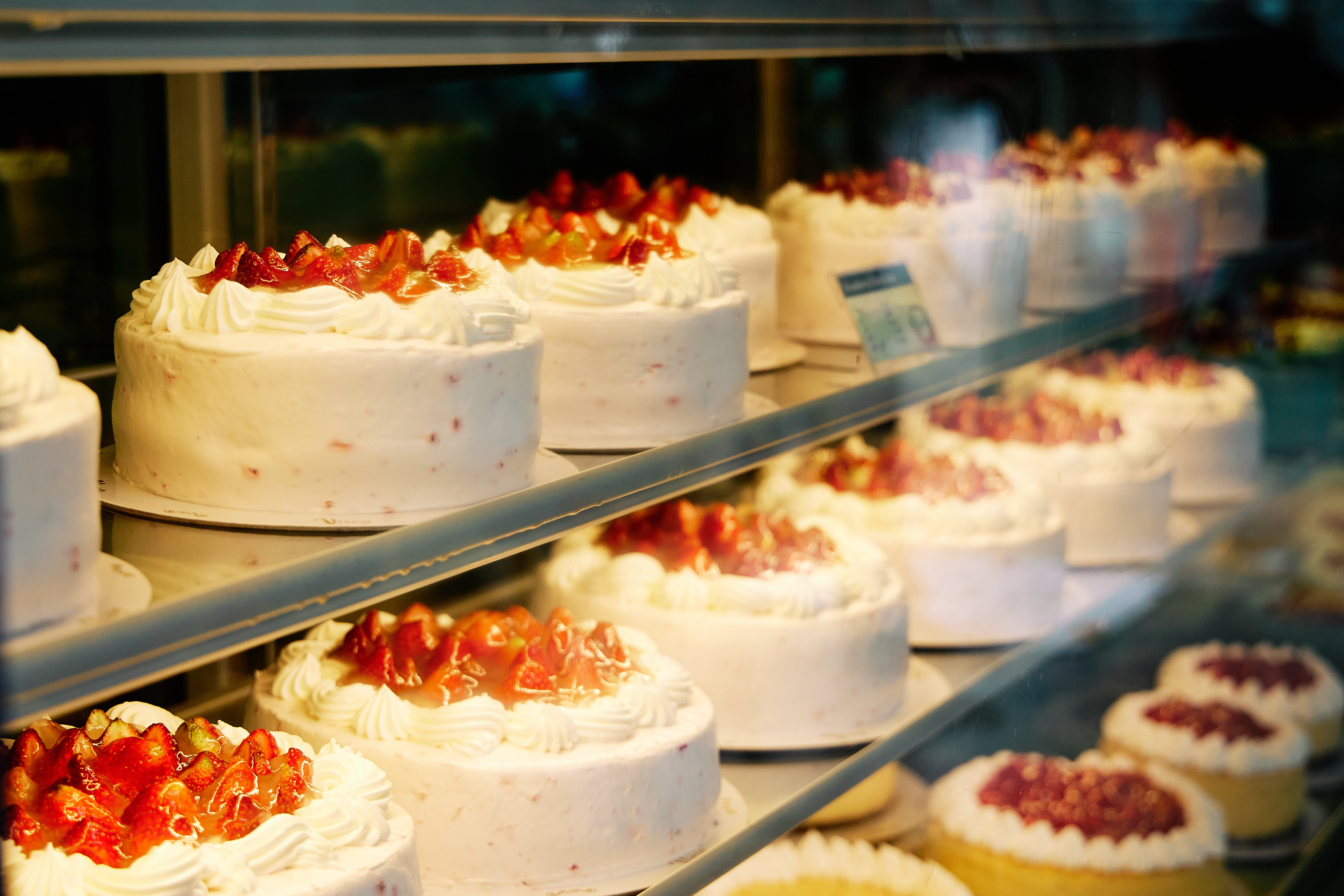 Baguio, Philippines - 2023. Canon EOS R6 | Canon RF 24-105mm F4L IS USM