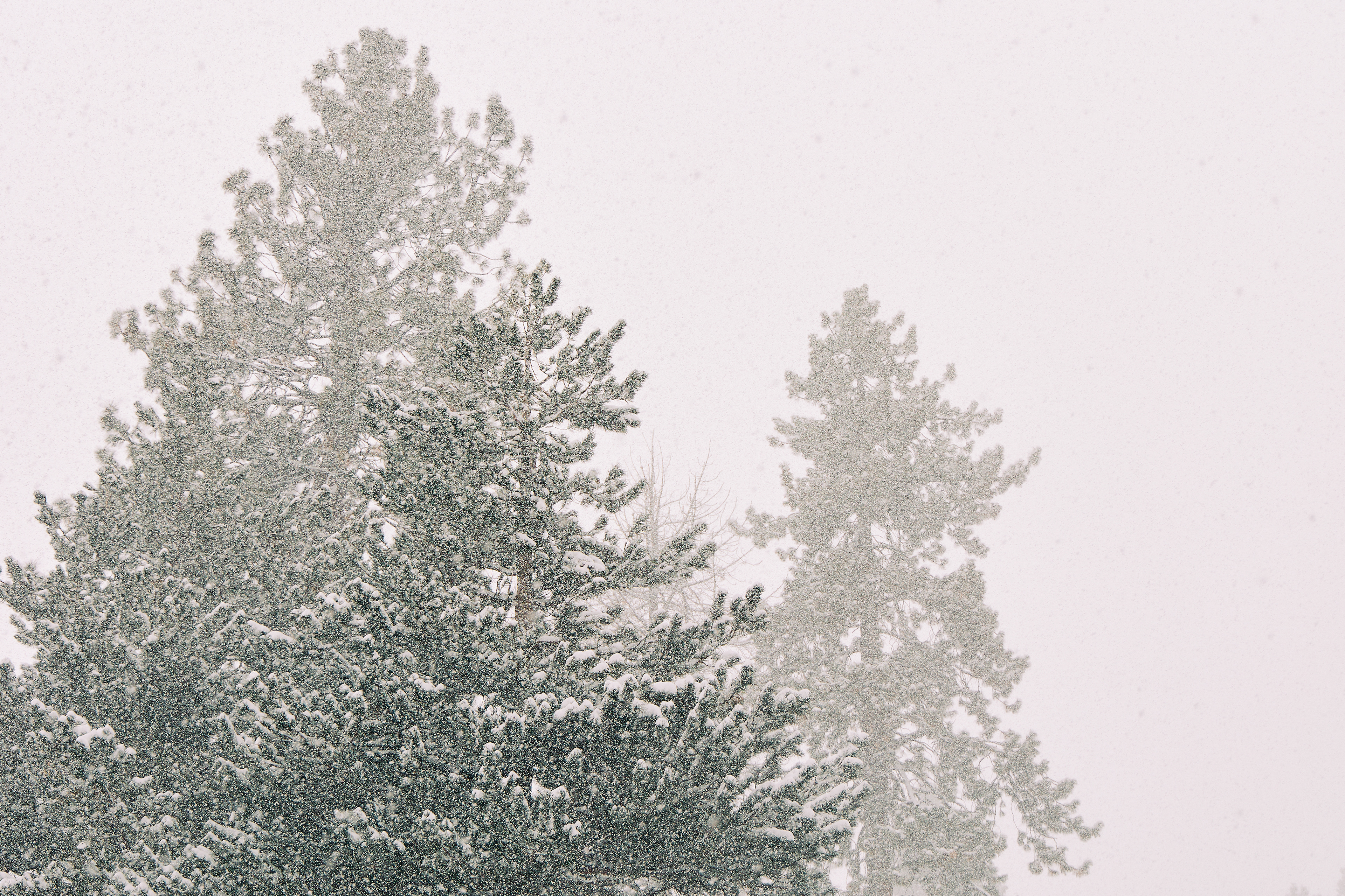 Americana Village. Canon RF 24-105mm F4L IS USM