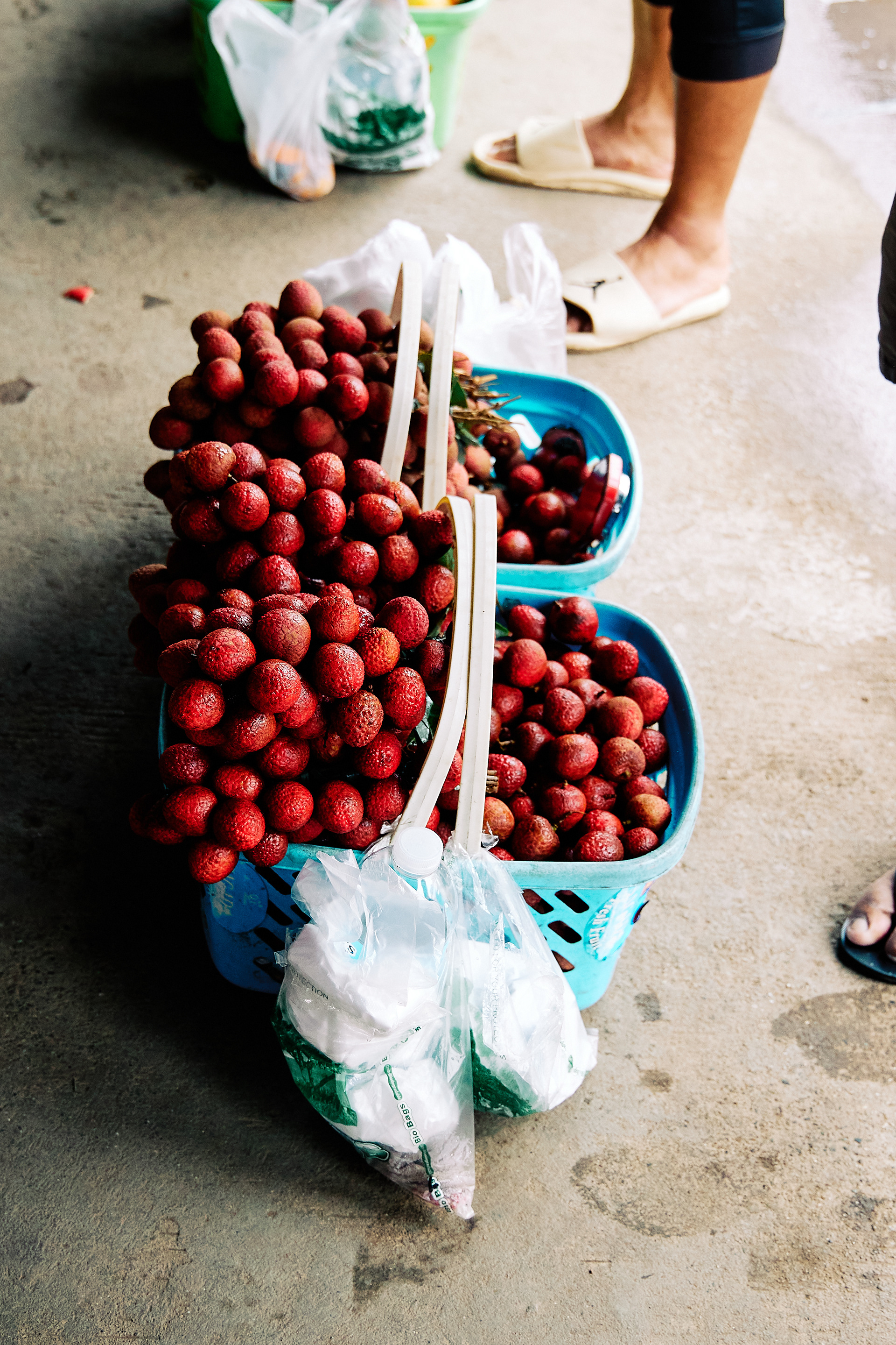 La Trinidad/Baguio. Canon EOS R6 | Canon RF 24-105mm F4L IS USM