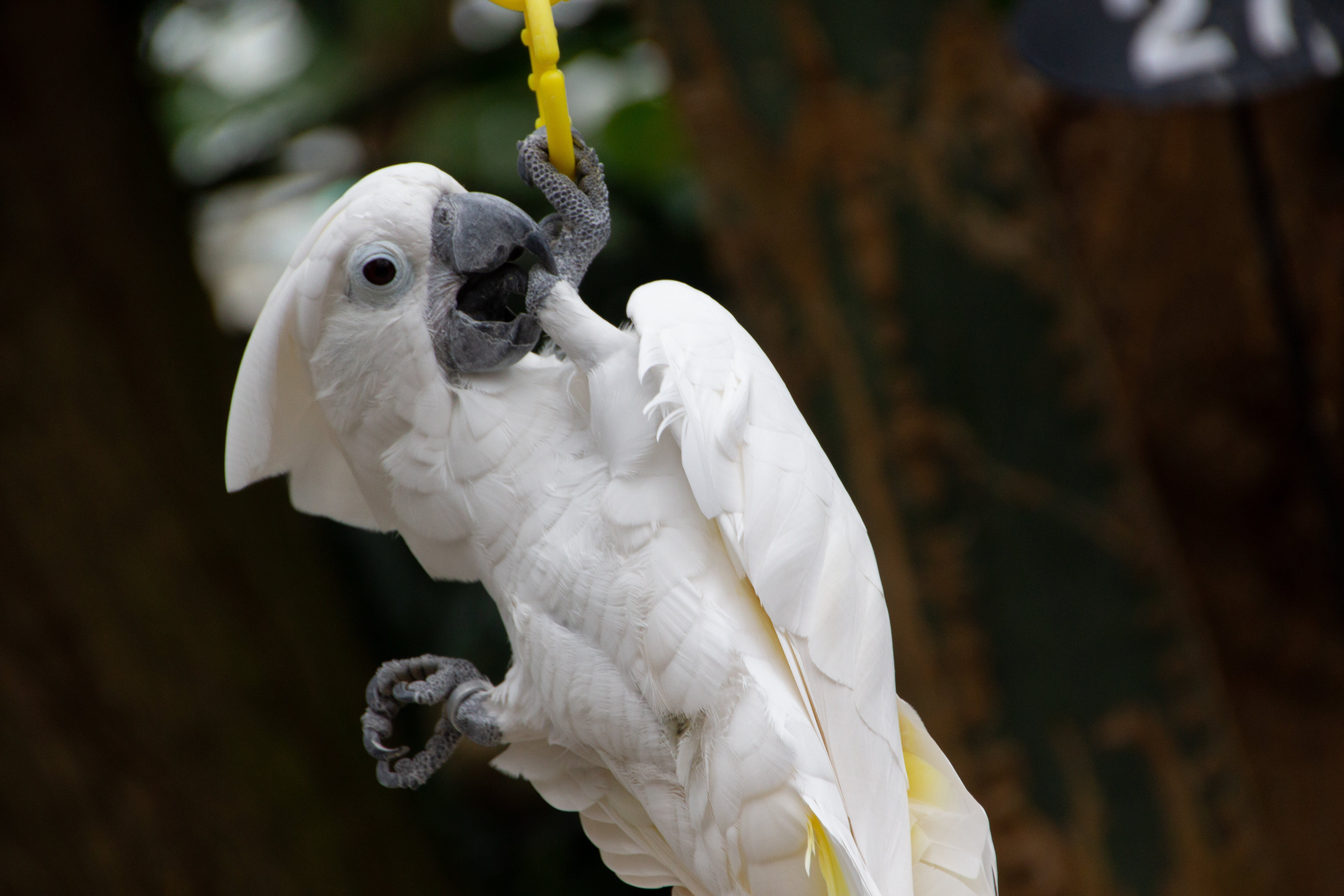 Canon EOS REBEL T2i | Tamron AF 18-270mm f/3.5-6.3 Di II VC PZD