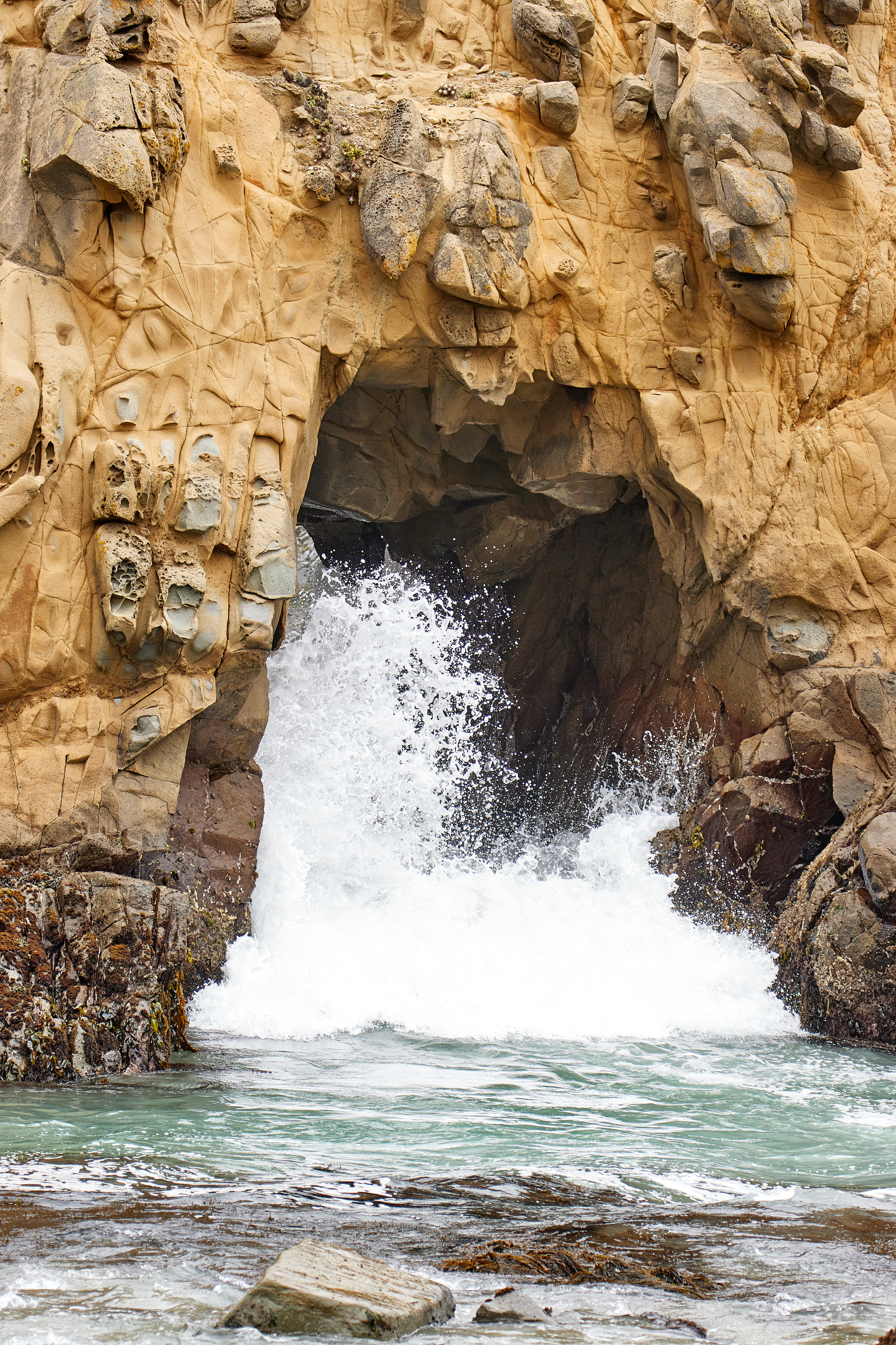 Pfeiffer Beach - July 2020. Canon EOS 90D | EF70-300mm f/4-5.6L IS USM