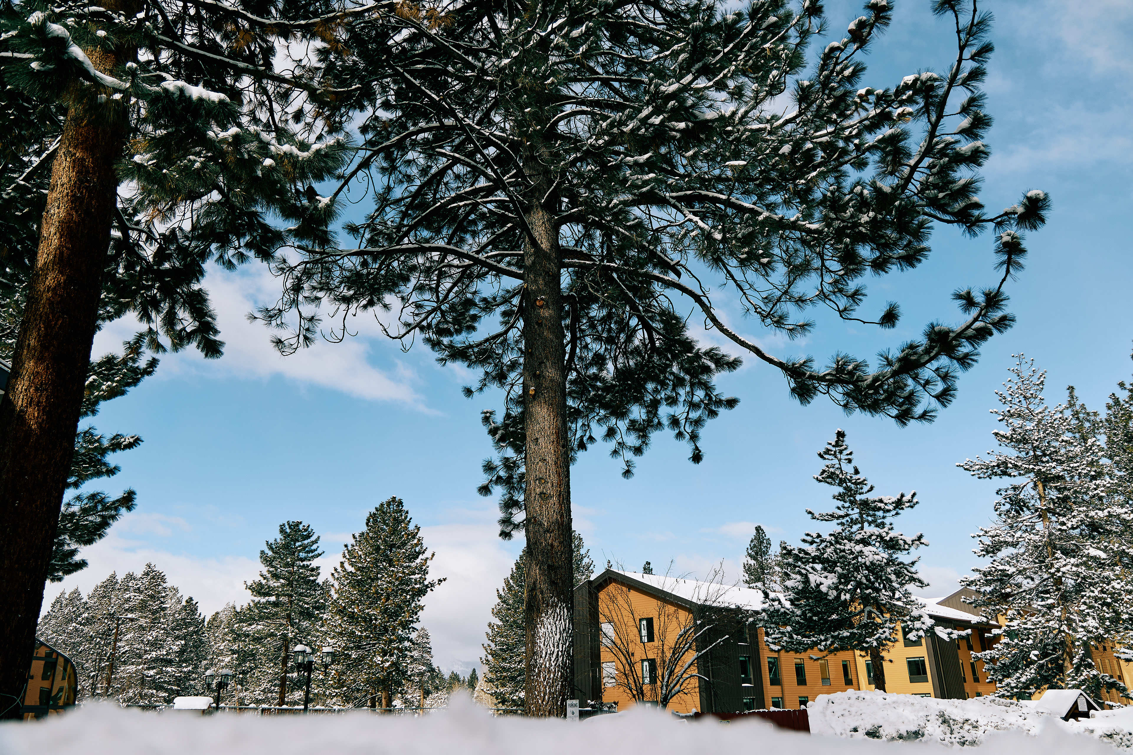 Americana Village. Canon RF 24-105mm F4L IS USM