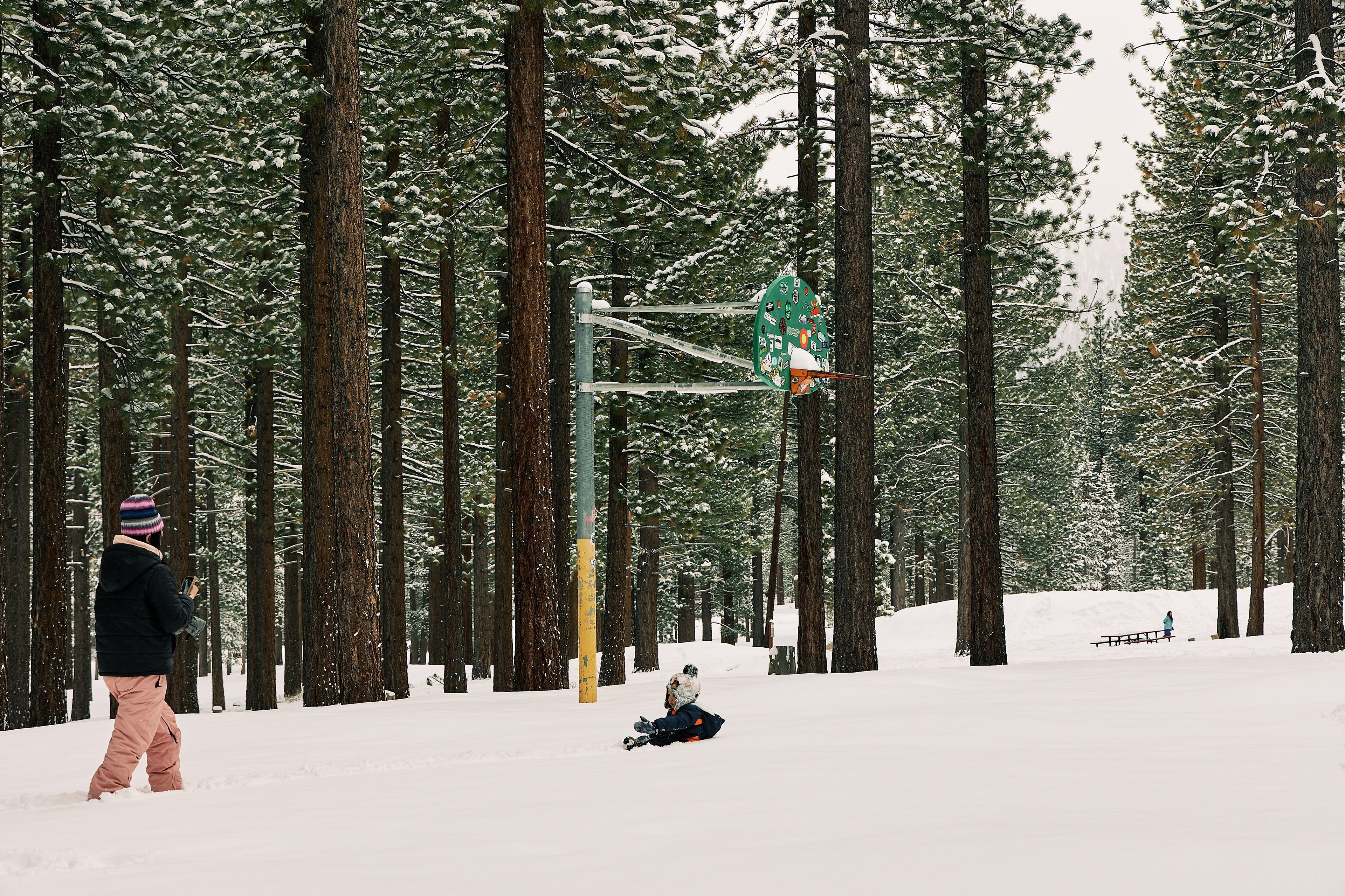 Bijou Park, South Lake Tahoe. Canon RF 24-105mm F4L IS USM