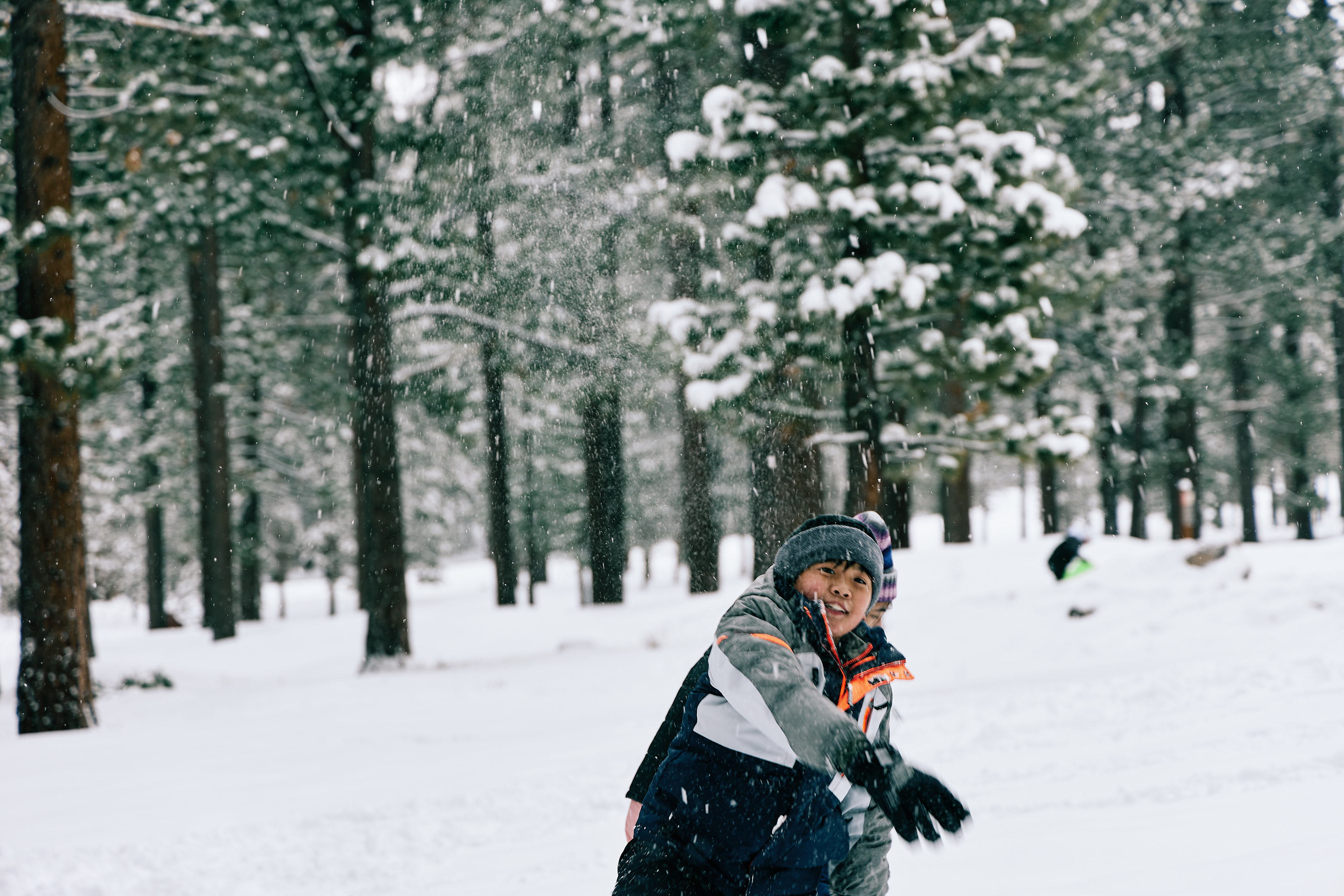 Bijou Park, South Lake Tahoe. Canon RF 24-105mm F4L IS USM