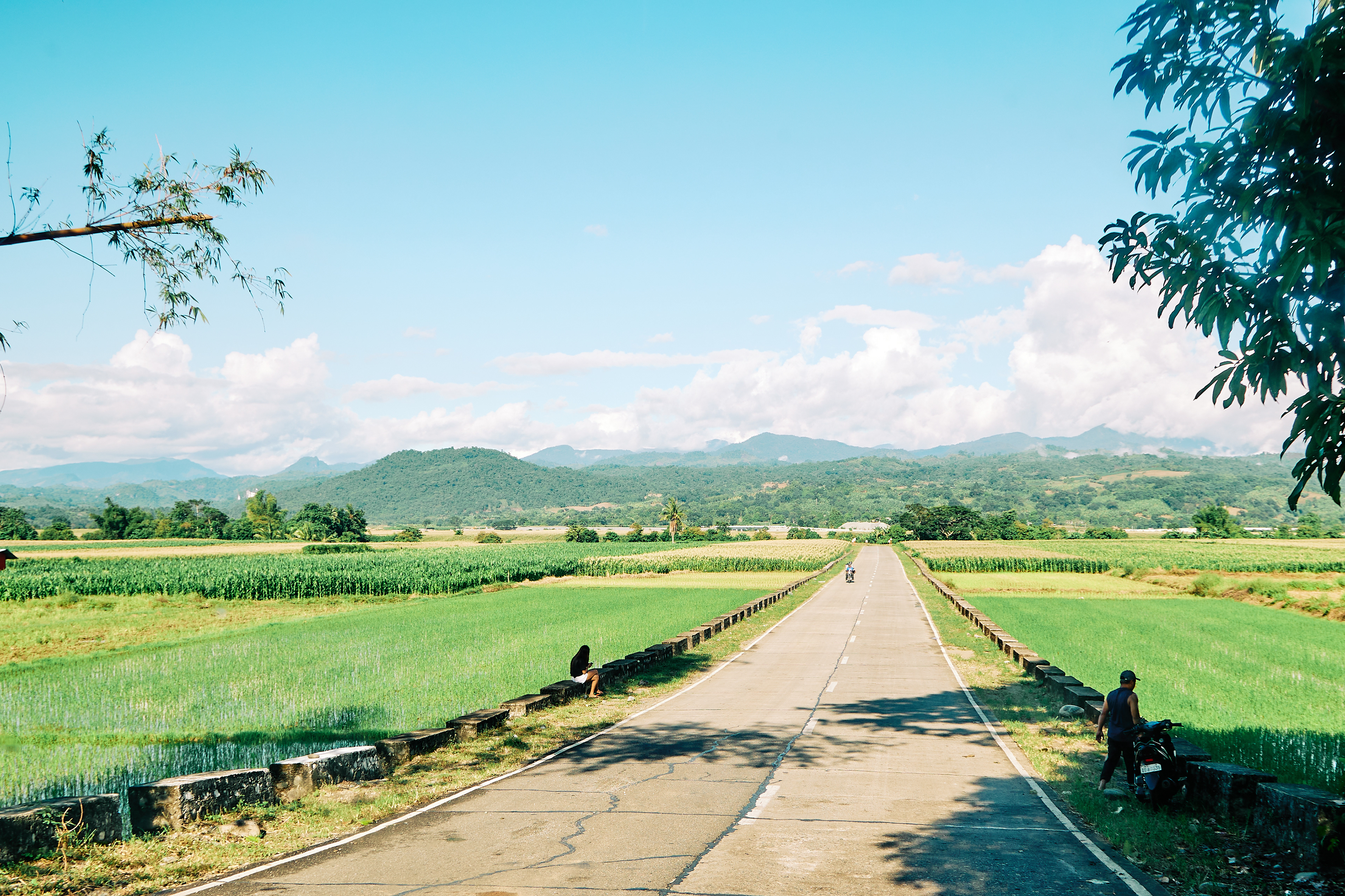 Maddela, Quirino. Canon EOS R6 | Canon RF 24-105mm F4L IS USM
