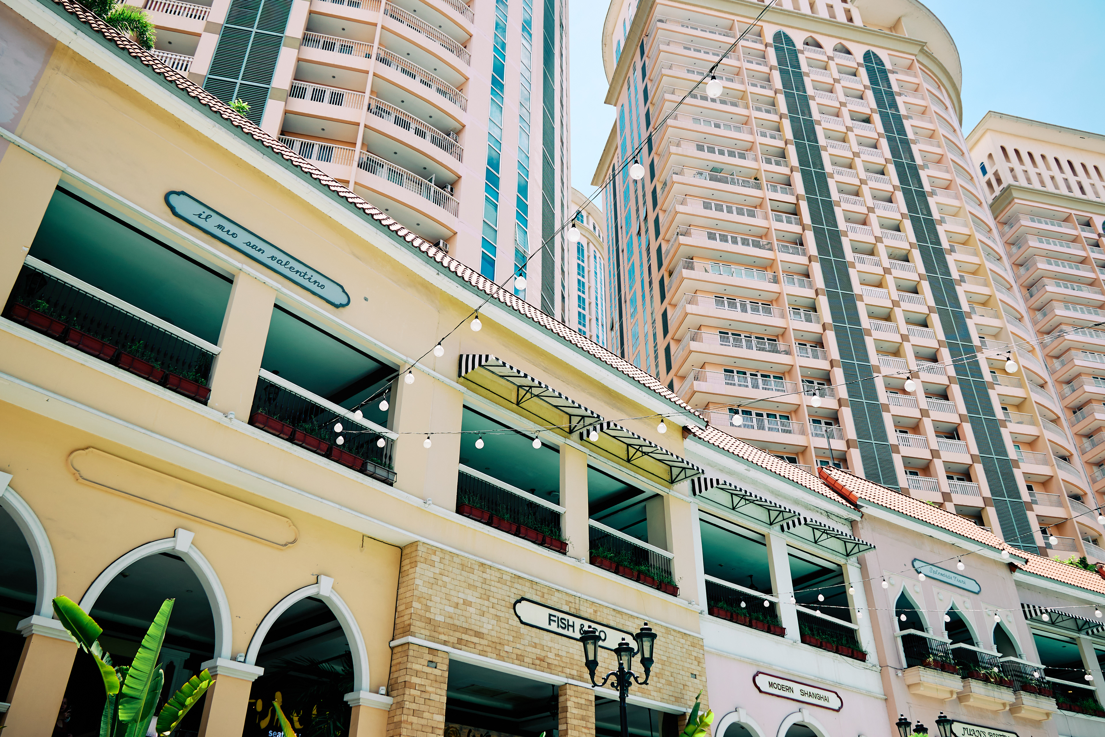 BGC. Canon EOS R6 | Canon RF 24-105mm F4L IS USM