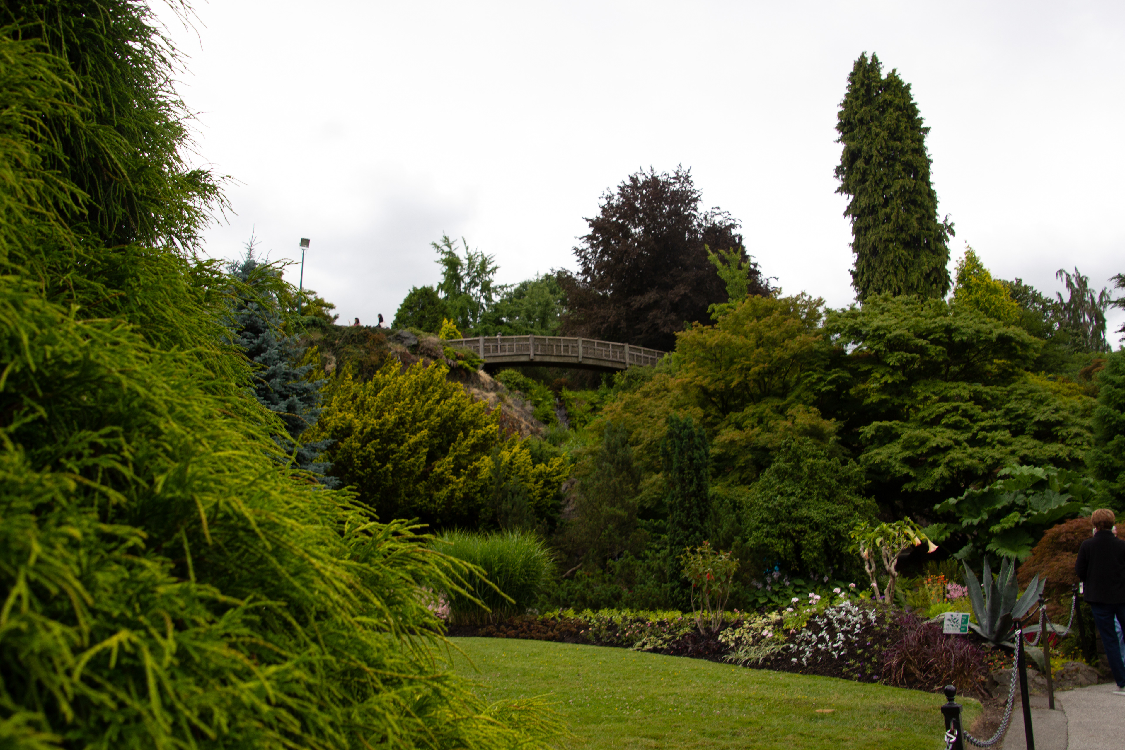 Canon EOS REBEL T2i | Tamron AF 18-270mm f/3.5-6.3 Di II VC PZD