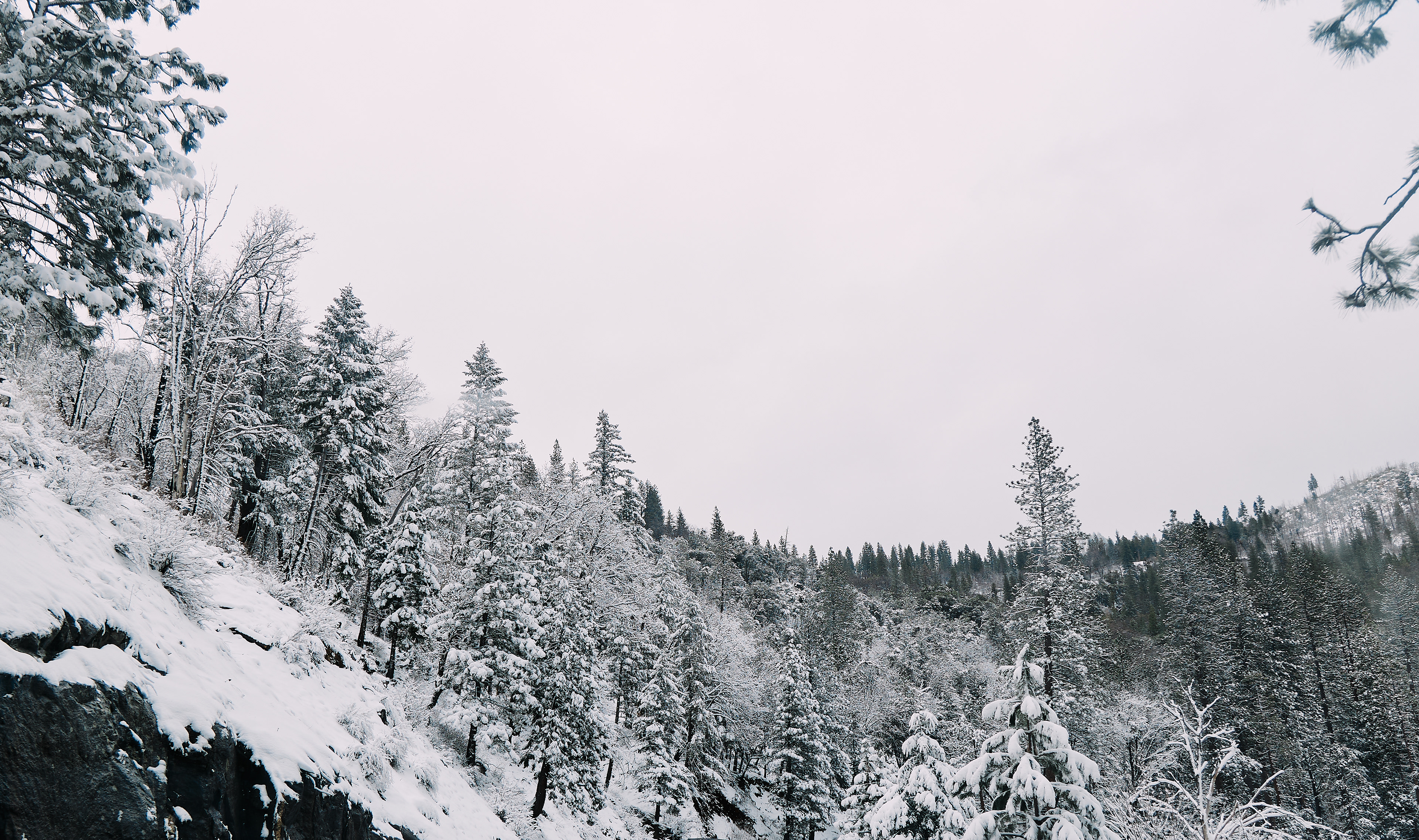 Highway 50 East to South Lake Tahoe. Canon RF 24-105mm F4L IS USM