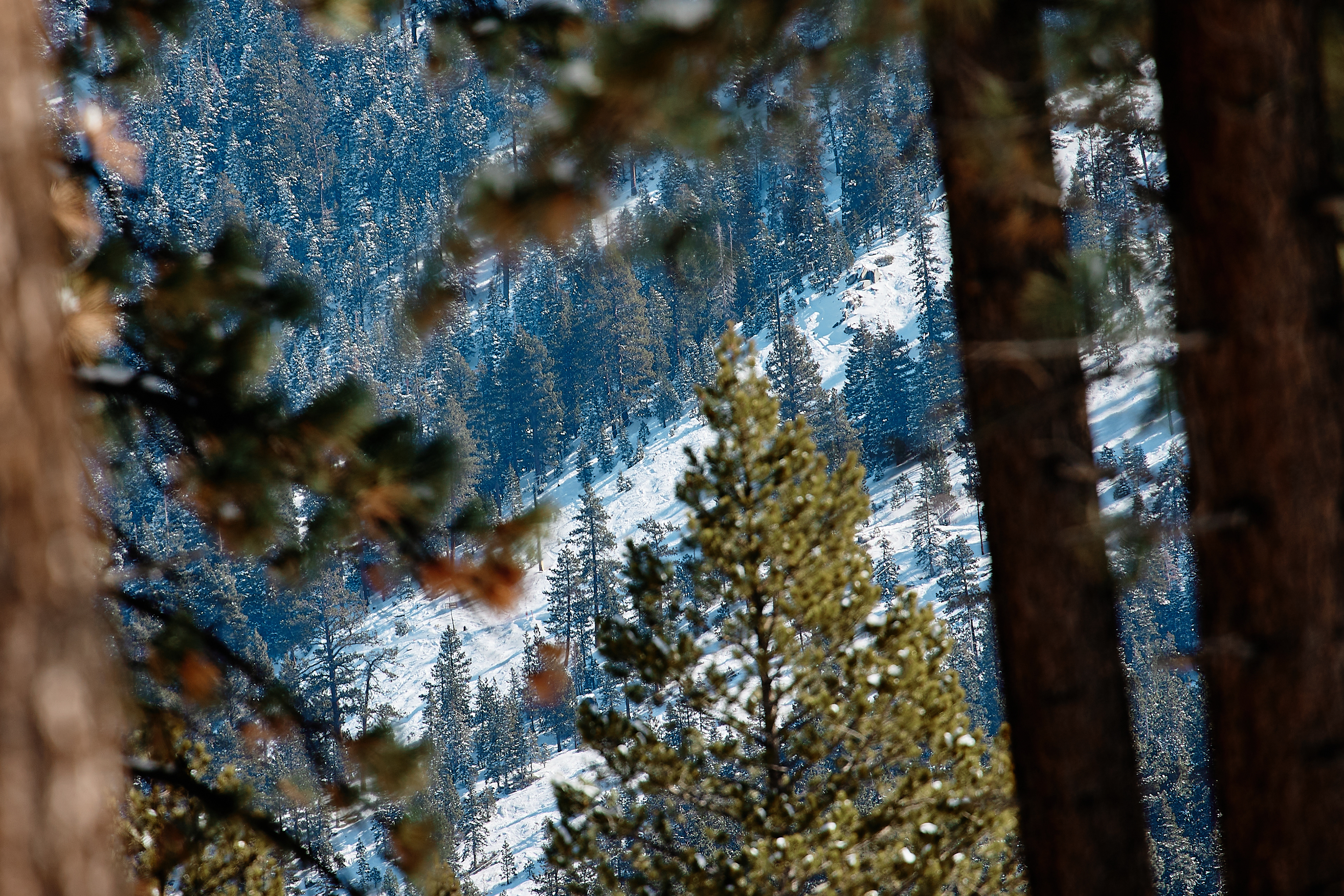 Bijou Park. EF70-300mm f/4-5.6L IS USM