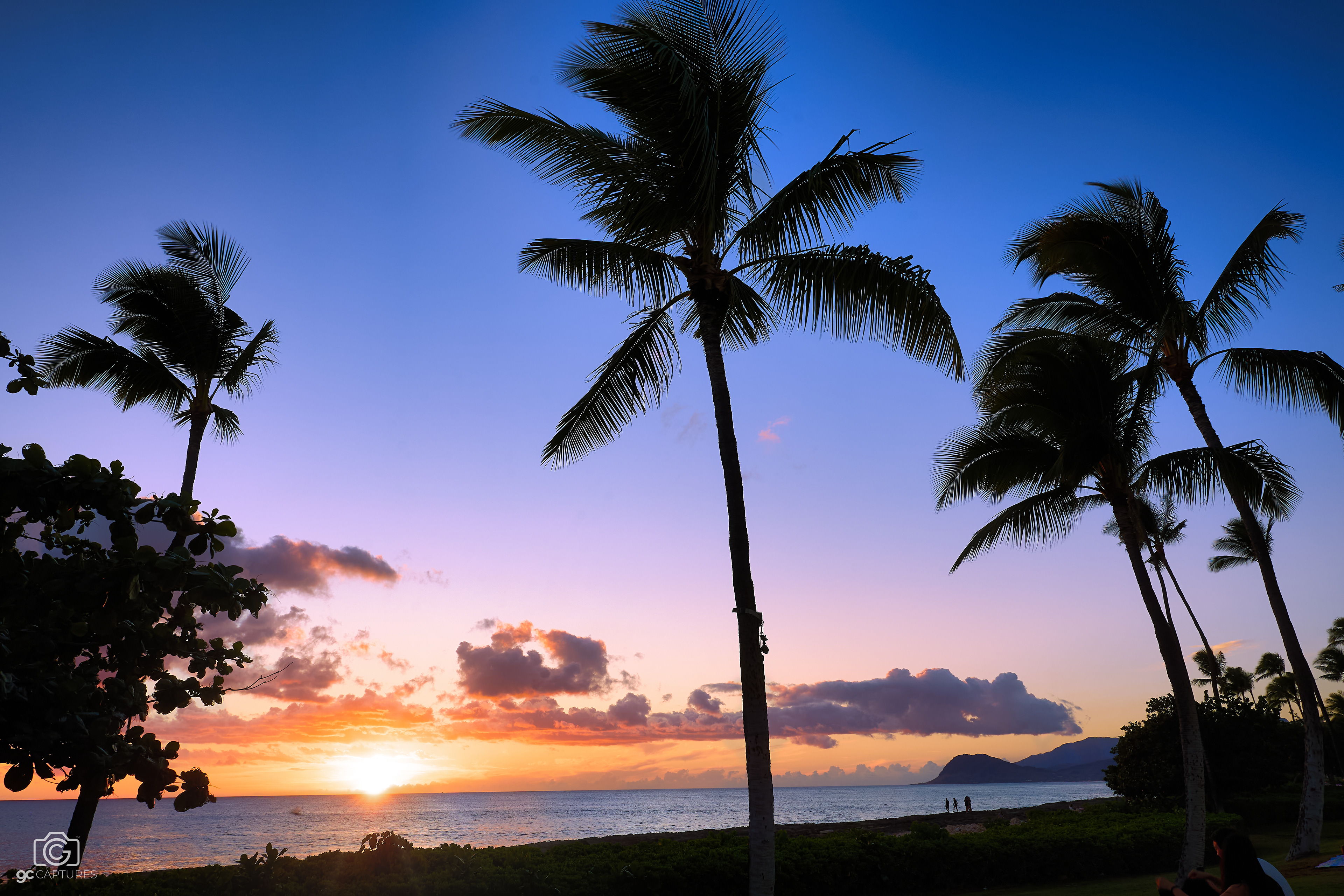 Canon RF 24mm F1.4 L VCM