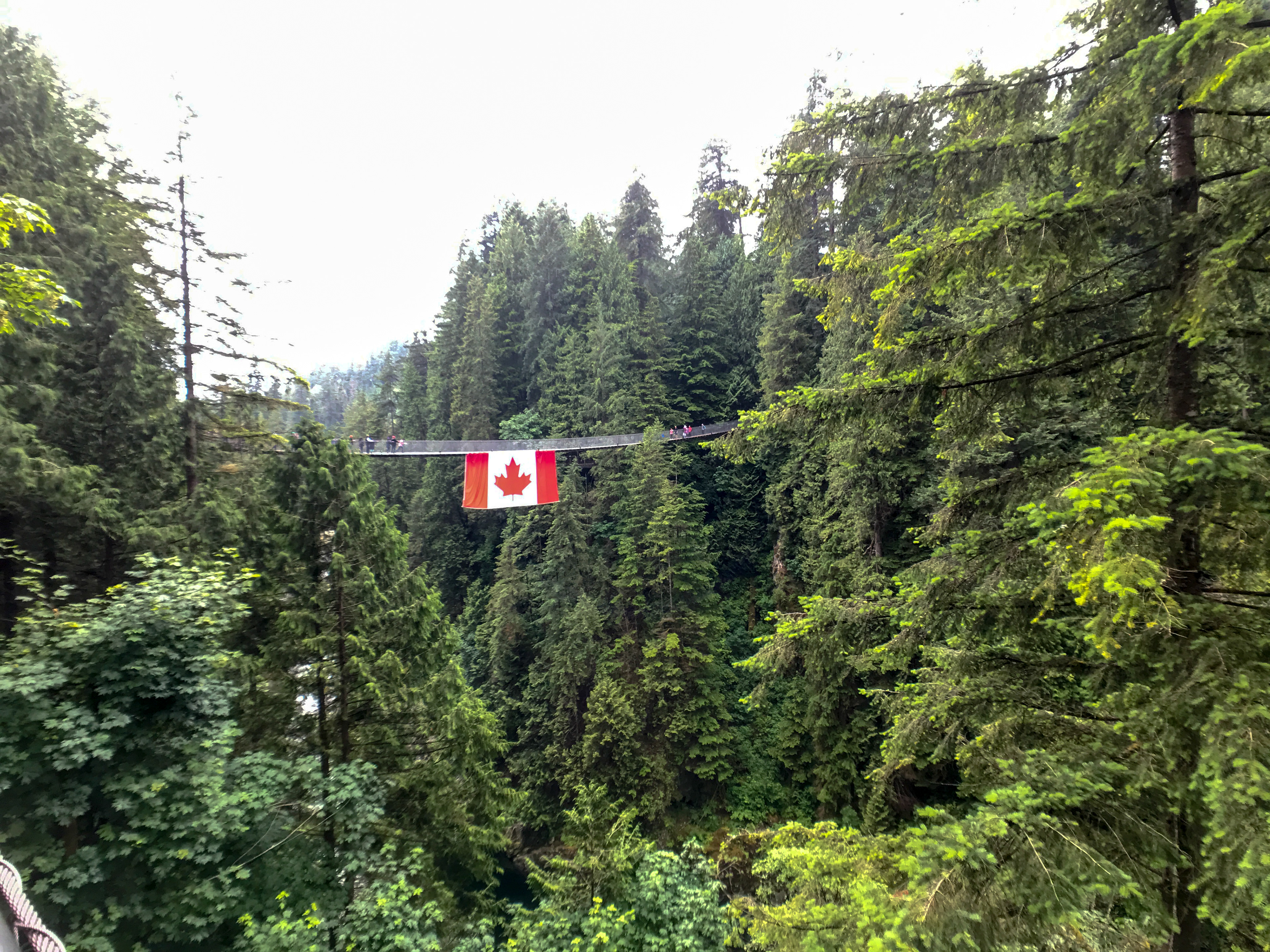 Capilano, suspension bridge, Canada. Canon EOS REBEL T2i | Tamron AF 18-270mm f/3.5-6.3 Di II VC PZD