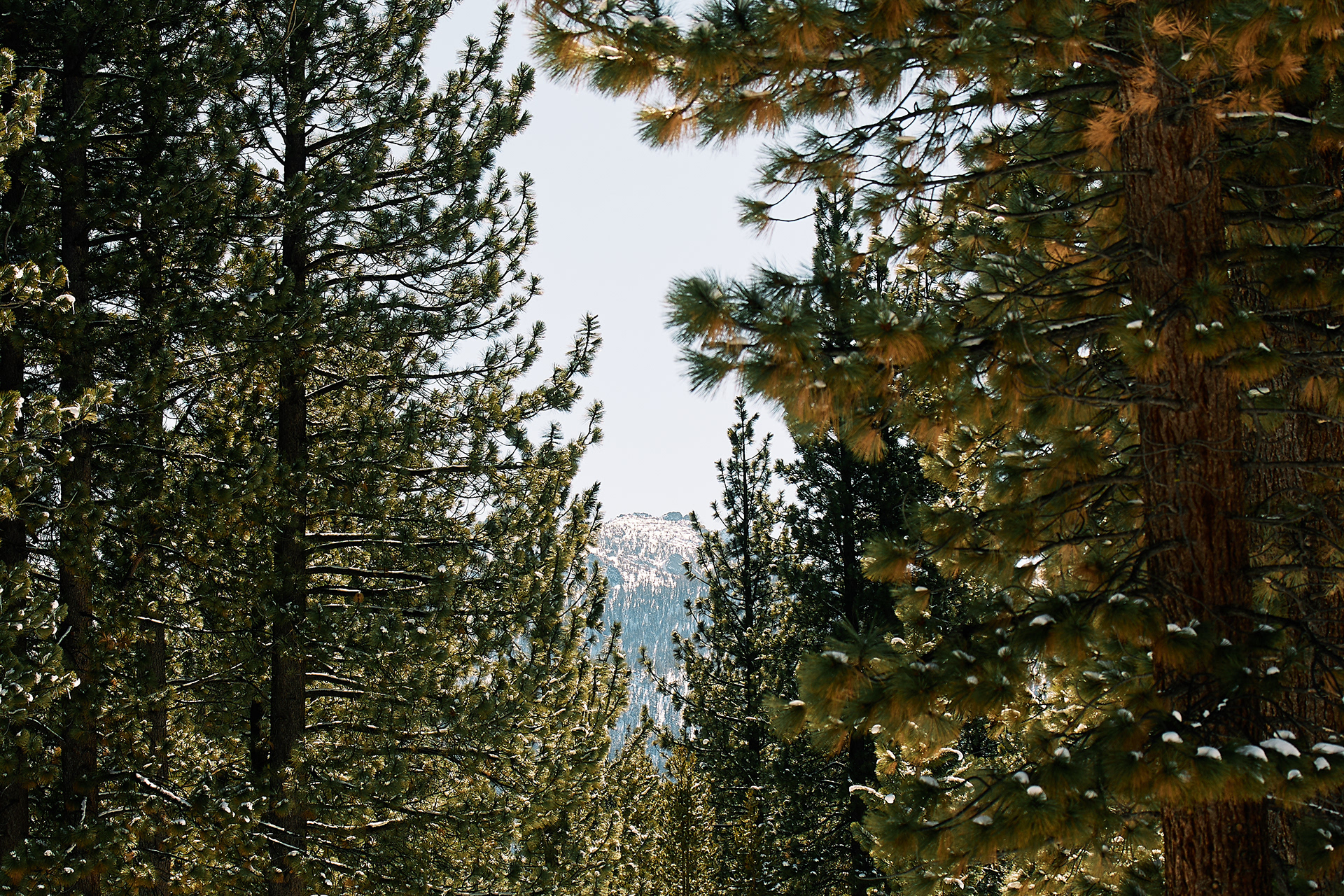 Bijou Park. EF70-300mm f/4-5.6L IS USM