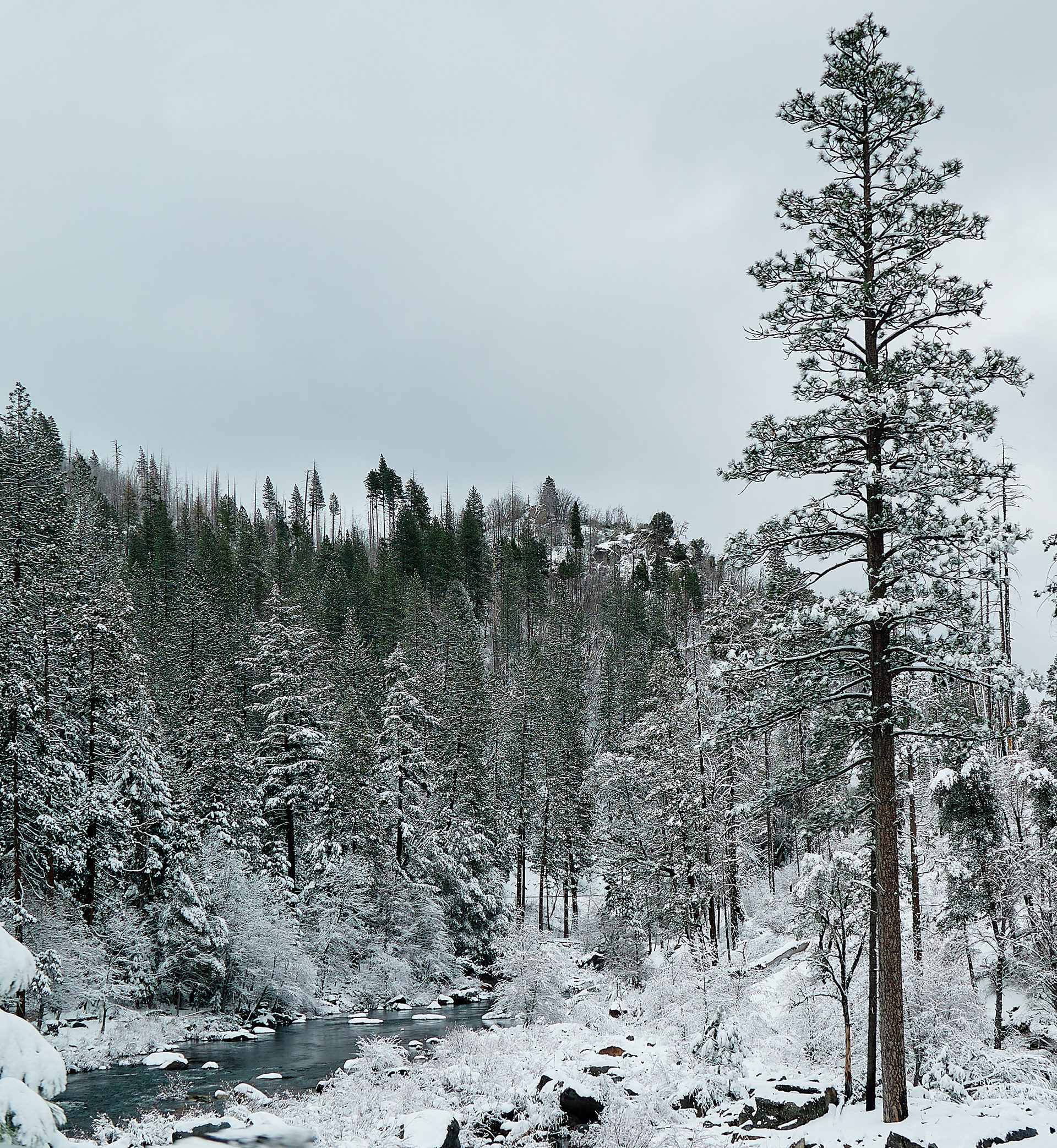 Highway 50 East to South Lake Tahoe. Canon RF 24-105mm F4L IS USM