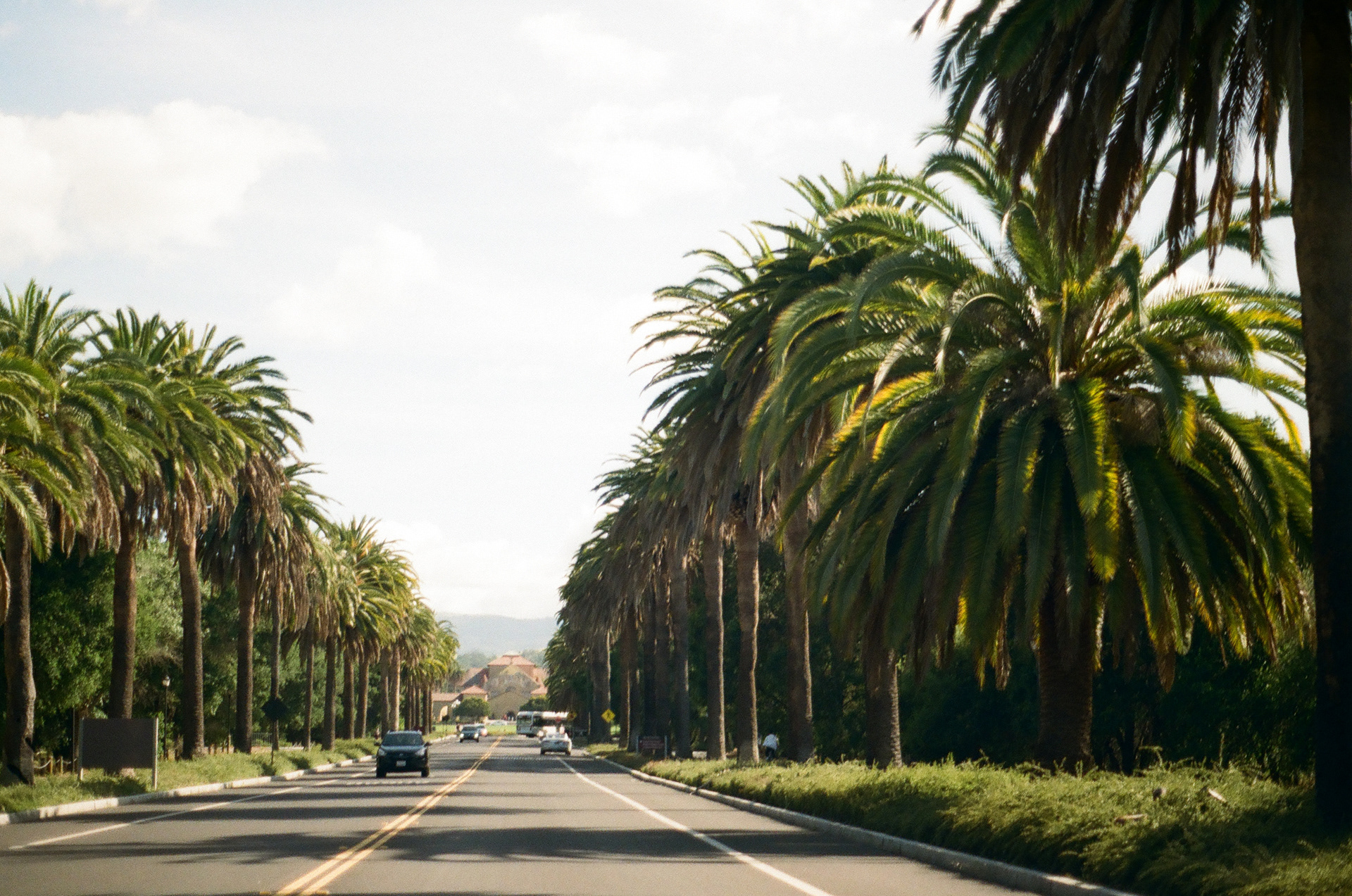 Camera: Minolta Maxxum 9000 Lens: Minolta 50mm 1.7 AF Film: Kodak Gold 200