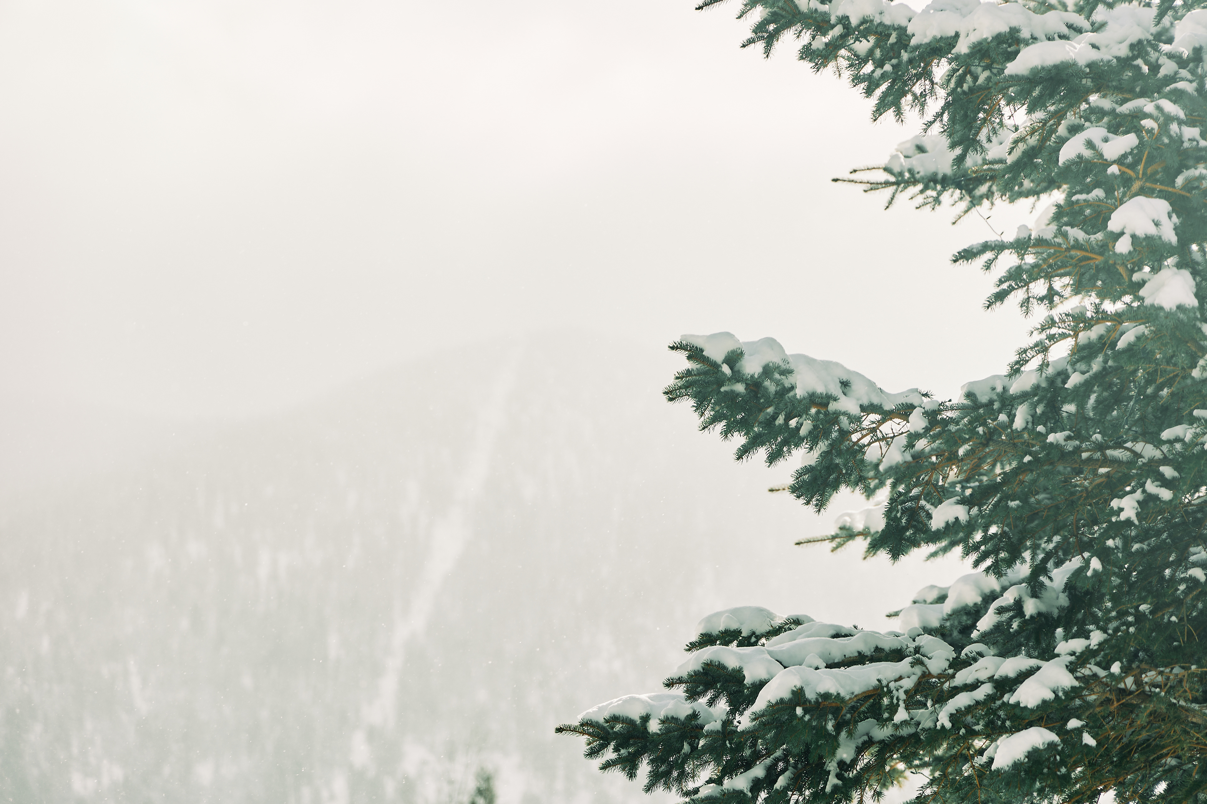 Lakeview Commons/El Dorado Beach, South Lake Tahoe. Canon RF 24-105mm F4L IS USM