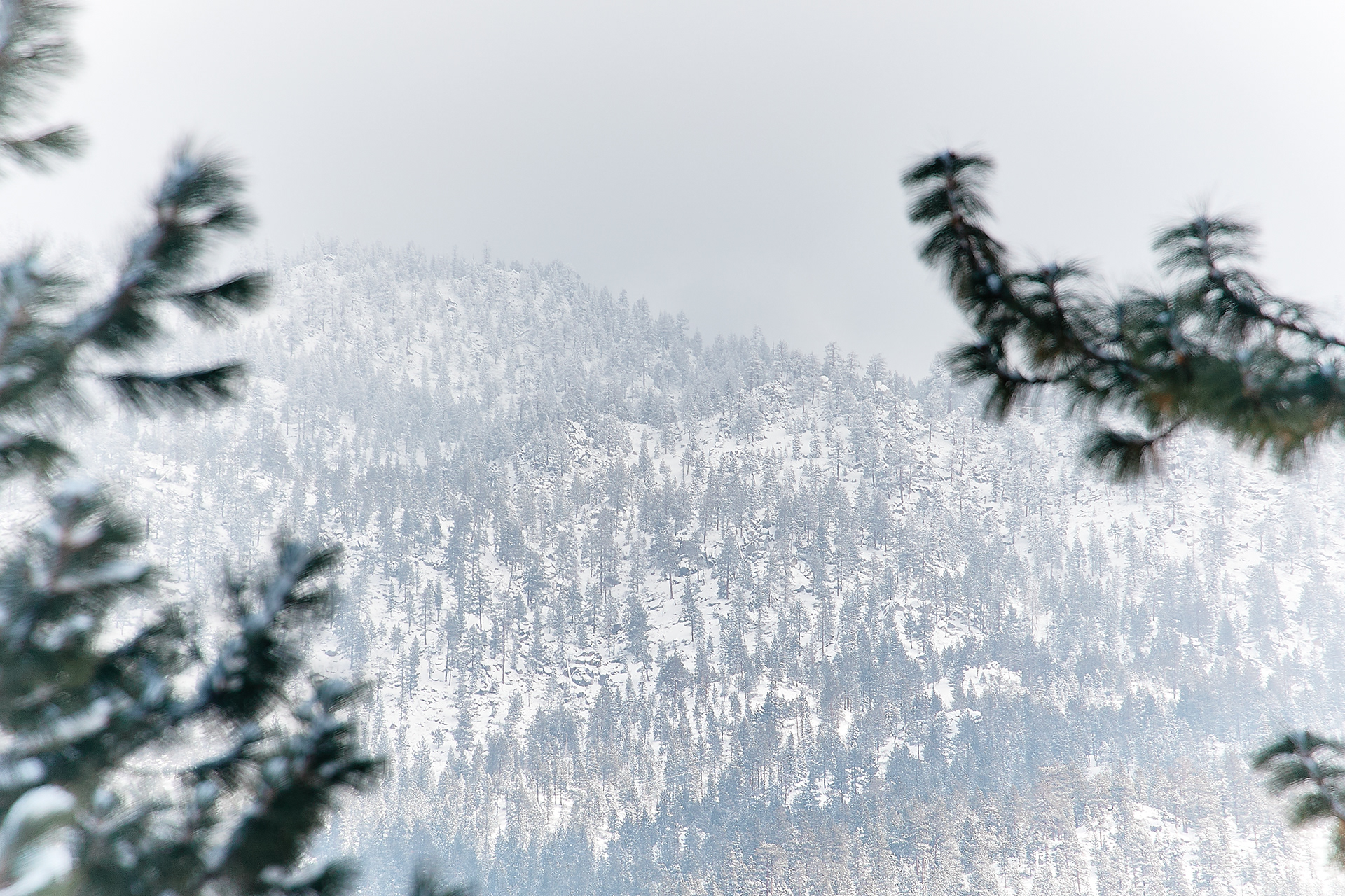 Lakeview Commons/El Dorado Beach, South Lake Tahoe. EF70-300mm f/4-5.6L IS USM